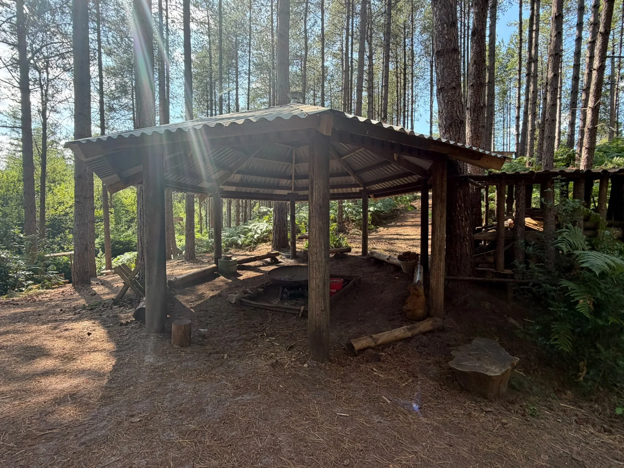 A wooden gazebo with a corrugated metal roof situated in a forest with tall trees and green foliage. Sunlight filters through the trees, creating a bright and natural outdoor setting.