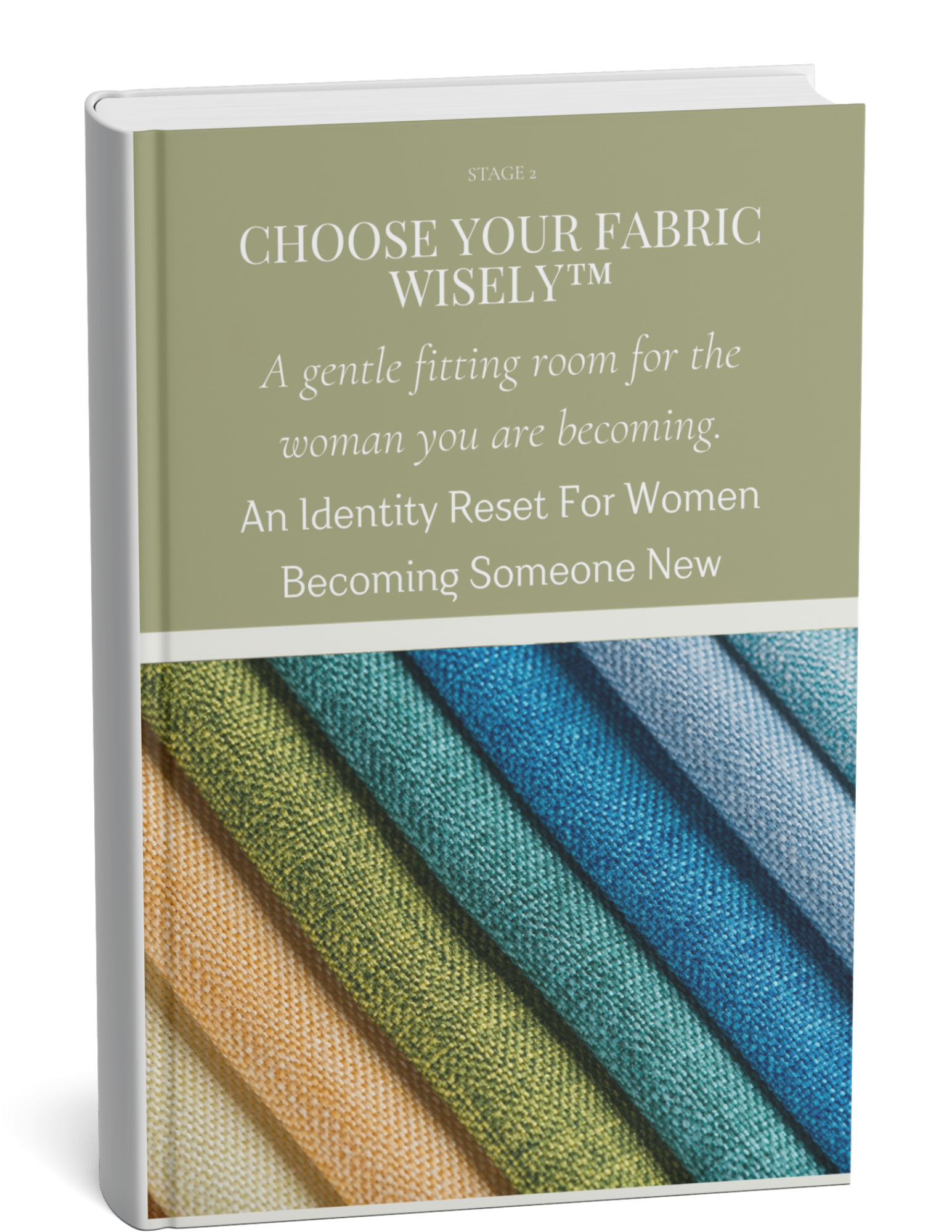 A book cover titled "Choose Your Fabric Wisely" with fabric swatches in various colors arranged diagonally.