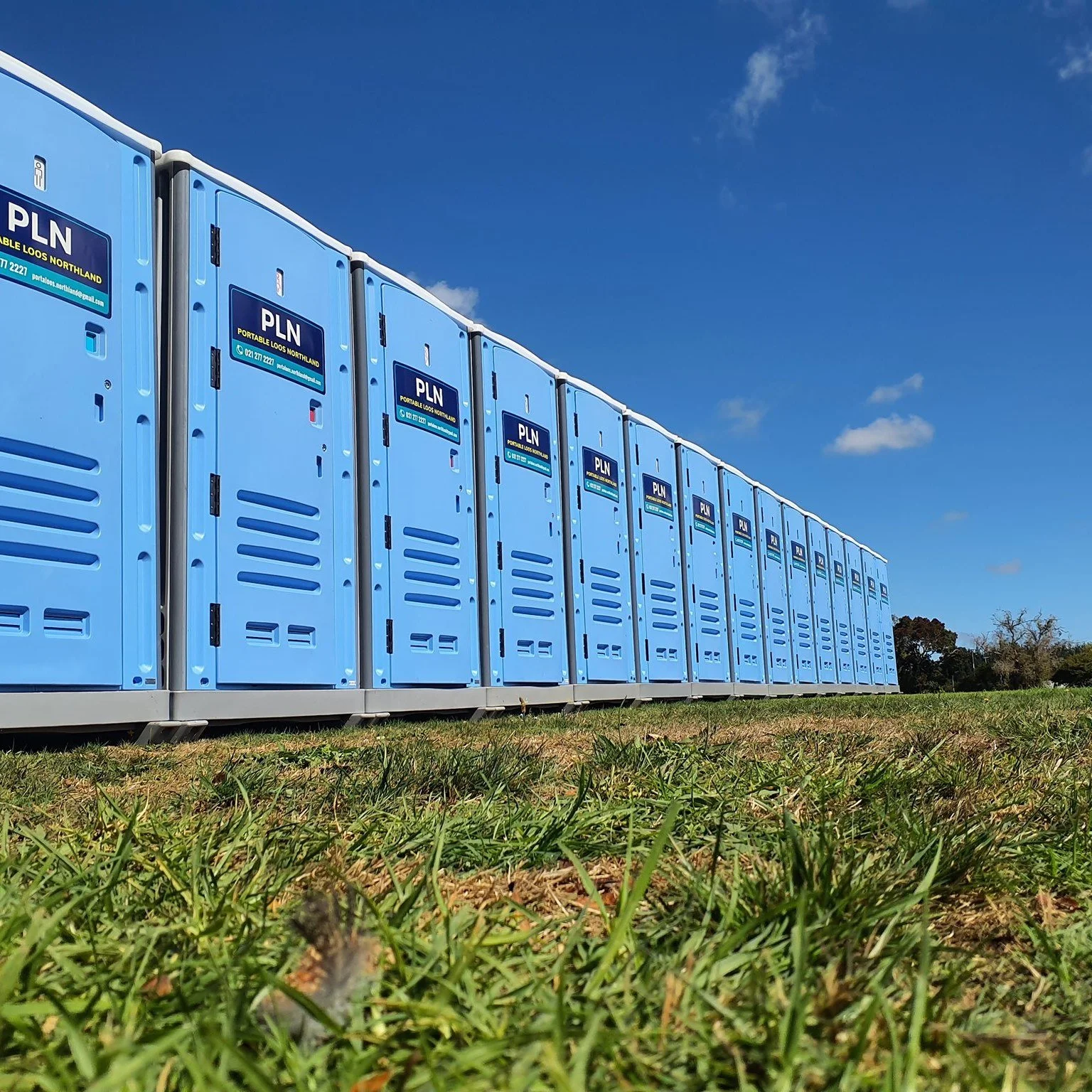 273216145_339885111477516_557640764505599882_n (1).jpg