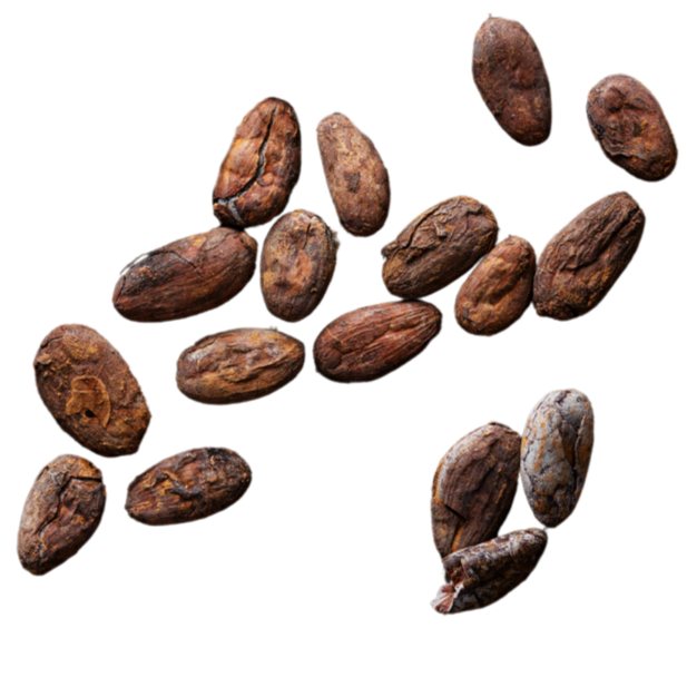 A group of cocoa beans on a black background.
