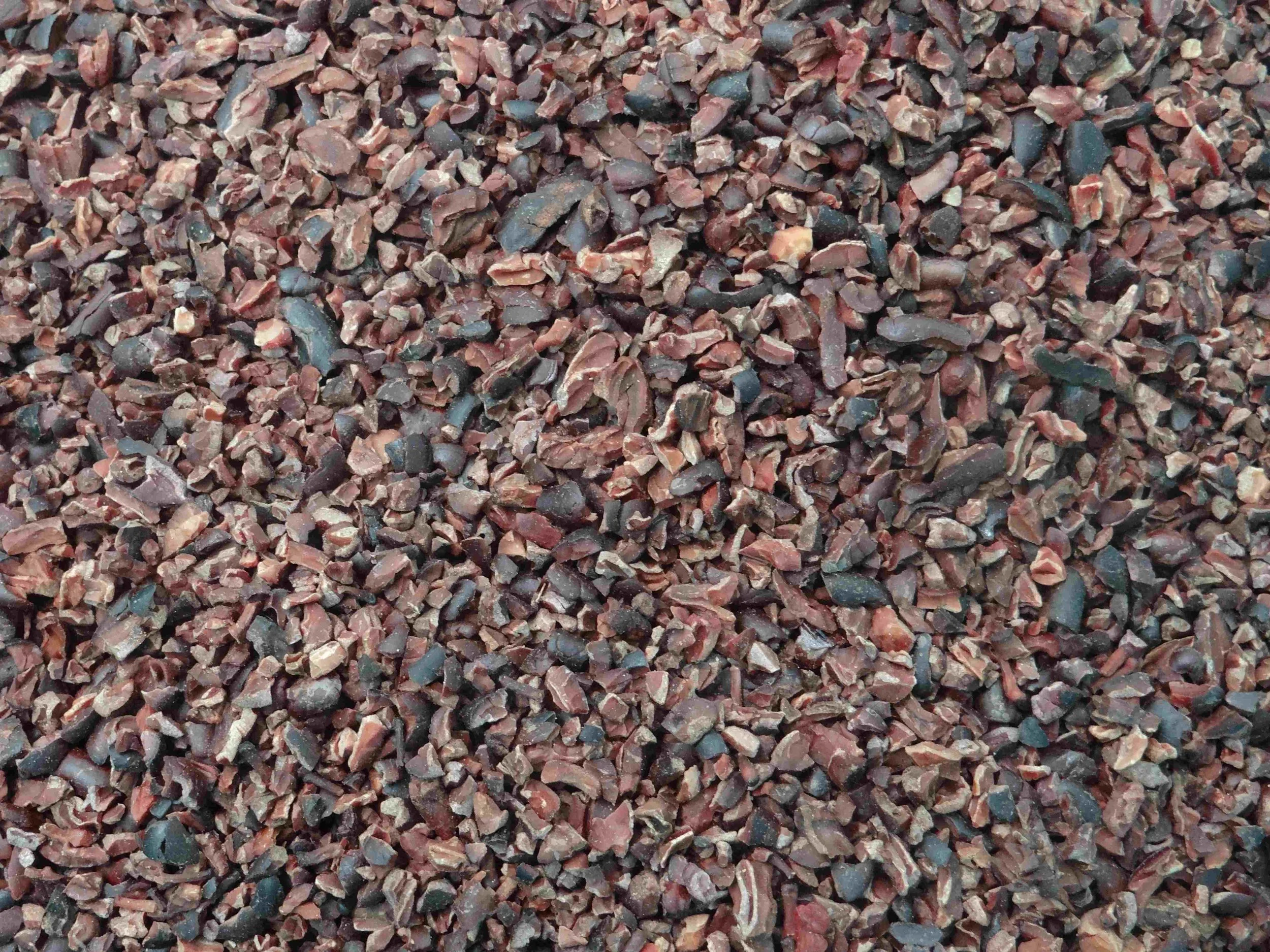 closeup-of-cocoa-nibs-bulk-product-federice-estates