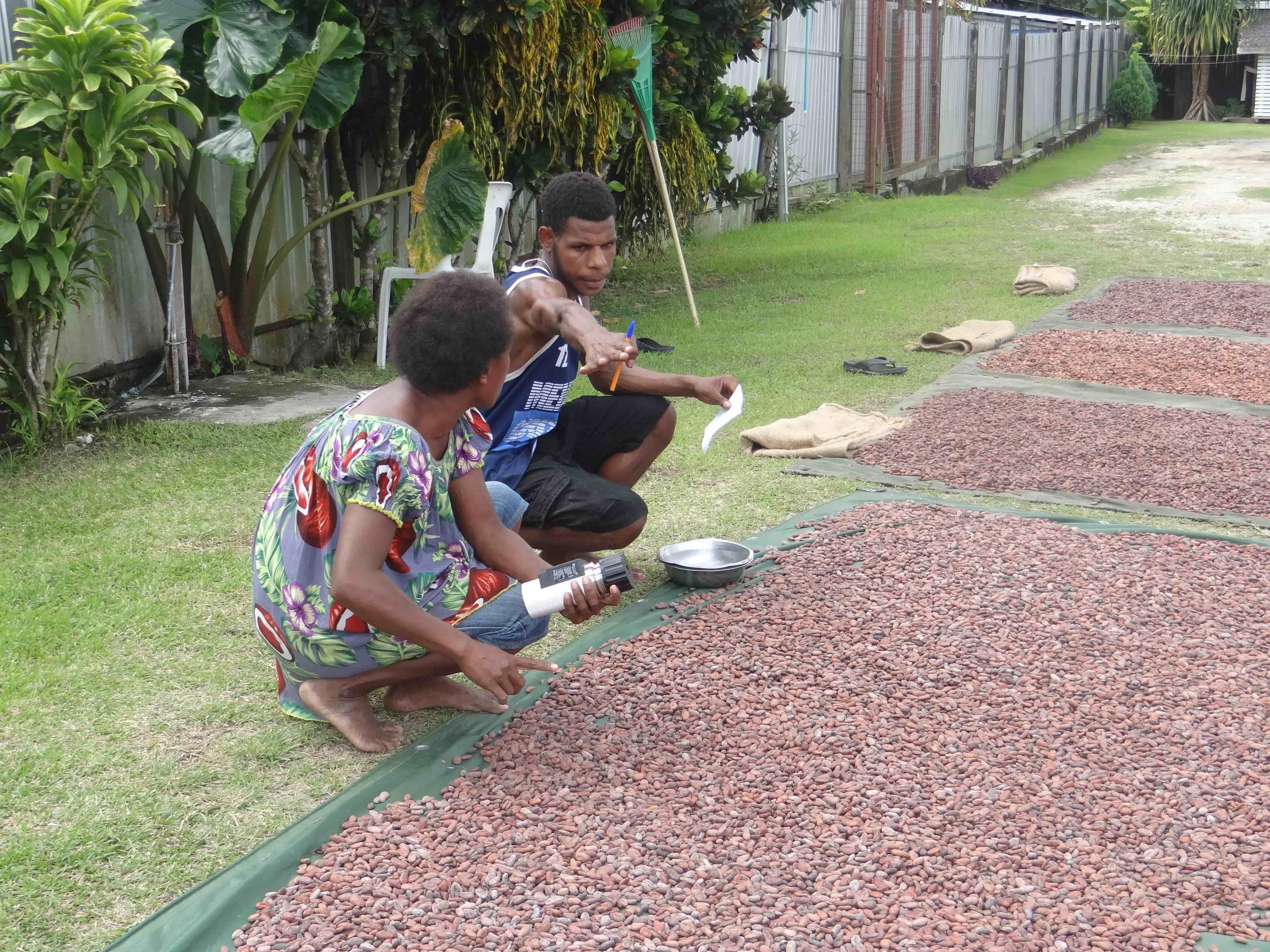 two-people-discussing-cocoa-beans-sun-drying-Federice_Estates