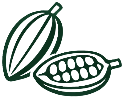 Illustration of a whole cocoa pod and a halved cocoa pod showing beans inside.