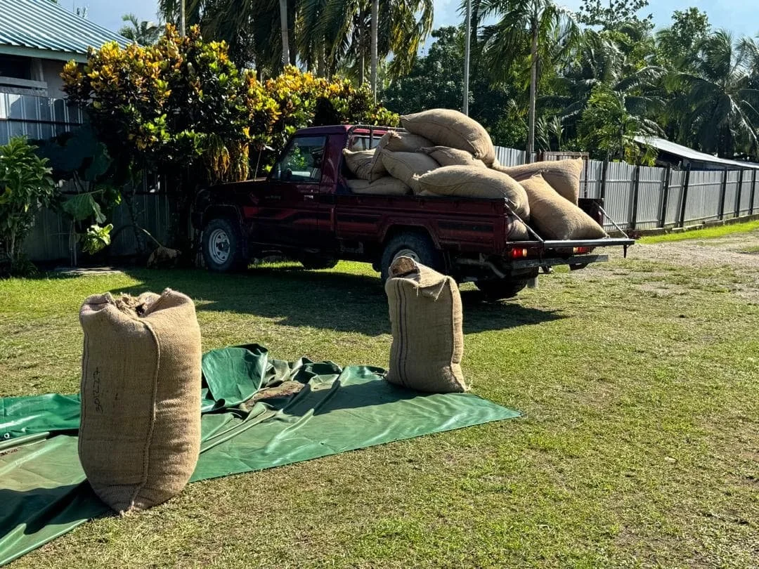 dried-packaged-cocoa-beans-in-a-hessian-sack-with-federice-estates-logo