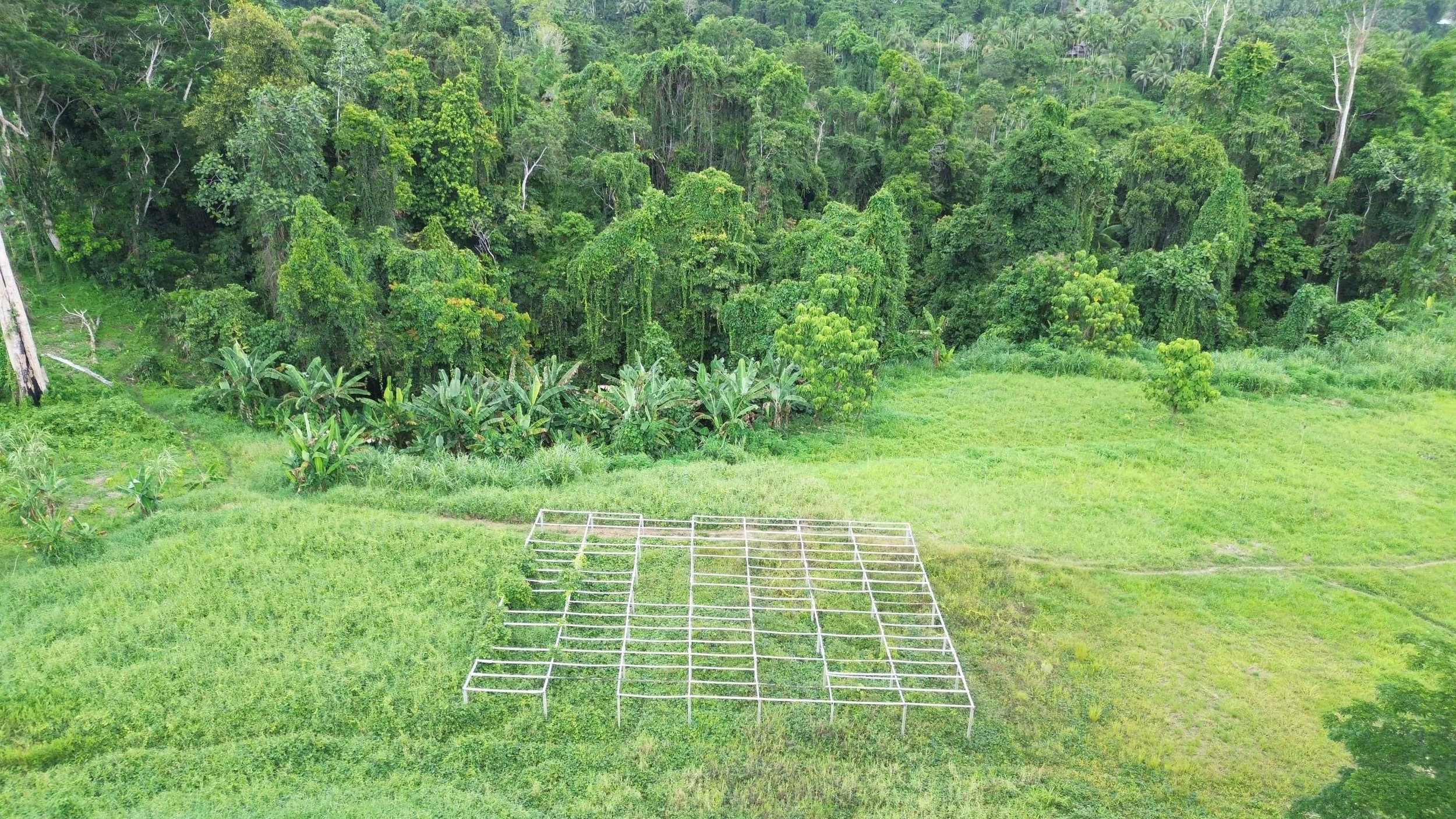 dried-packaged-cocoa-beans-in-a-hessian-sack-with-federice-estates-logo