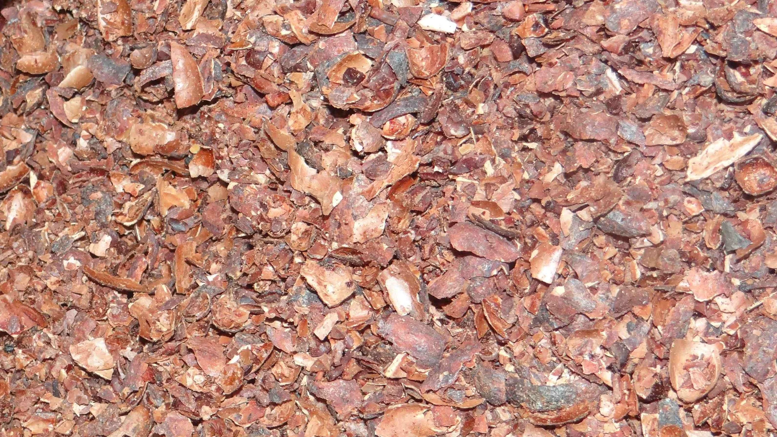 closeup-of-cocoa-husk-bulk-product-federice-estates
