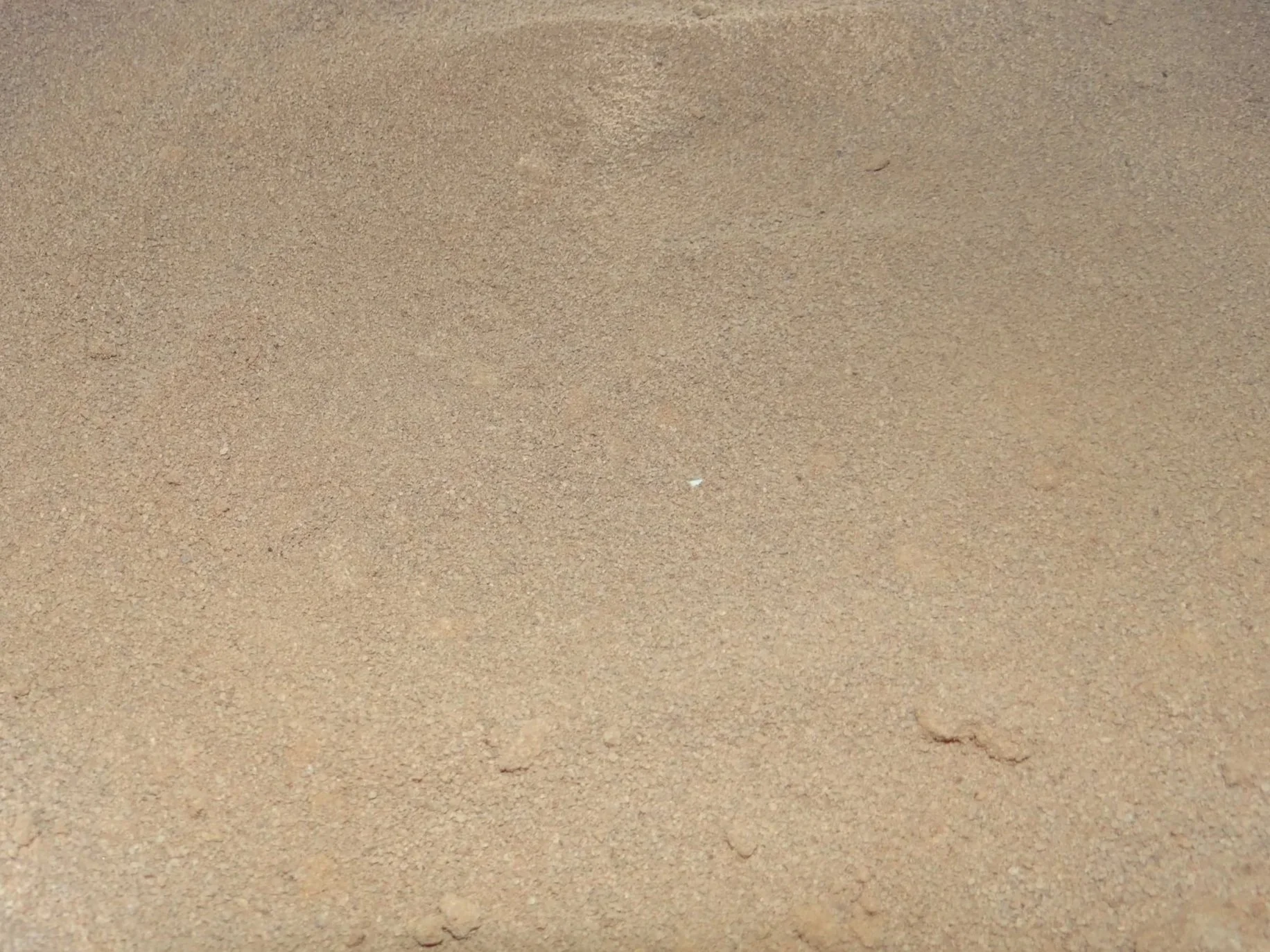 closeup-of-cocoa-powder-bulk-product-federice-estates