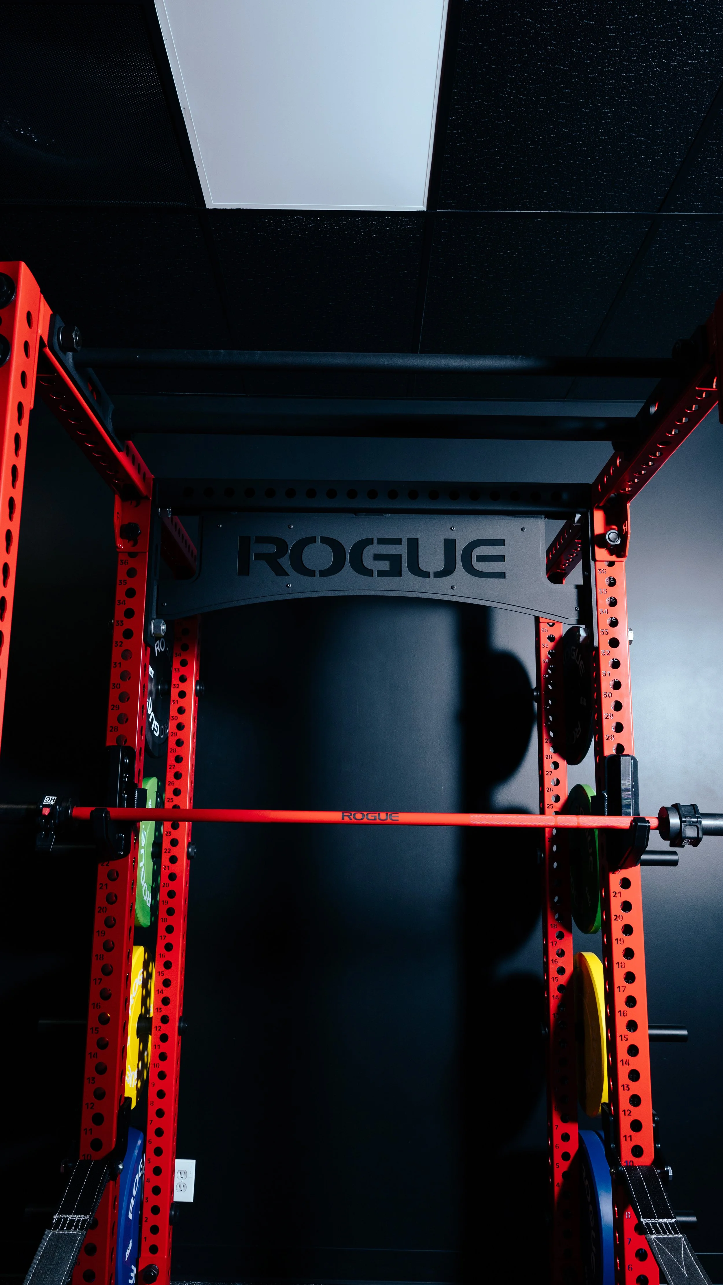 Customized Training & Nutrition