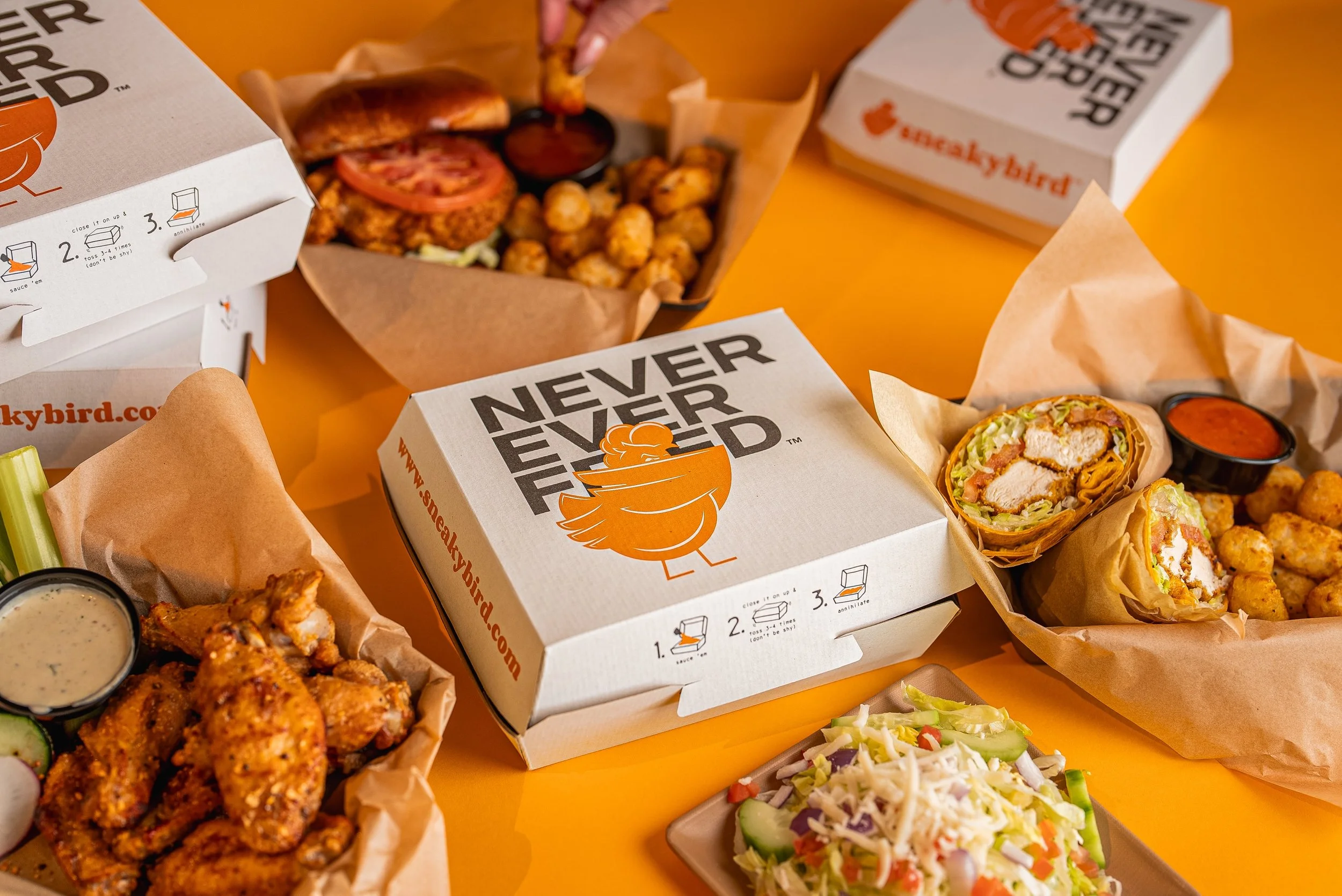 Sneaky Bird FX3 Photos-5-min.jpg