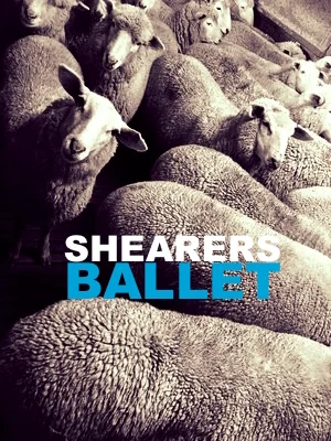 SHEARERS BALLET AND SILOS PROJECT