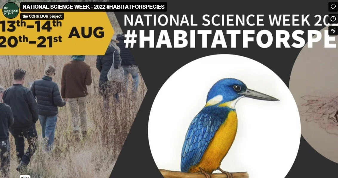 Screenshot 2025-12-12 114459.jpg