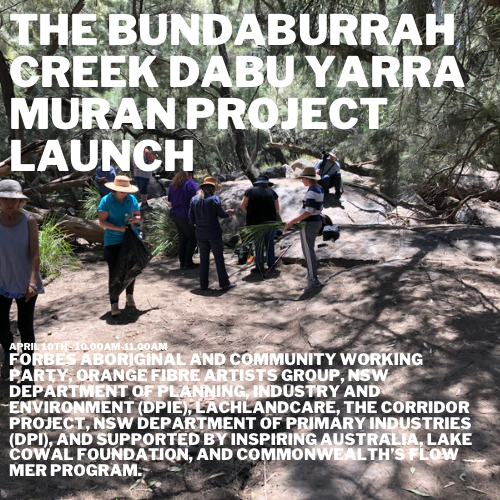 /bundaburrah-creek-dabu-yarra-muran-project