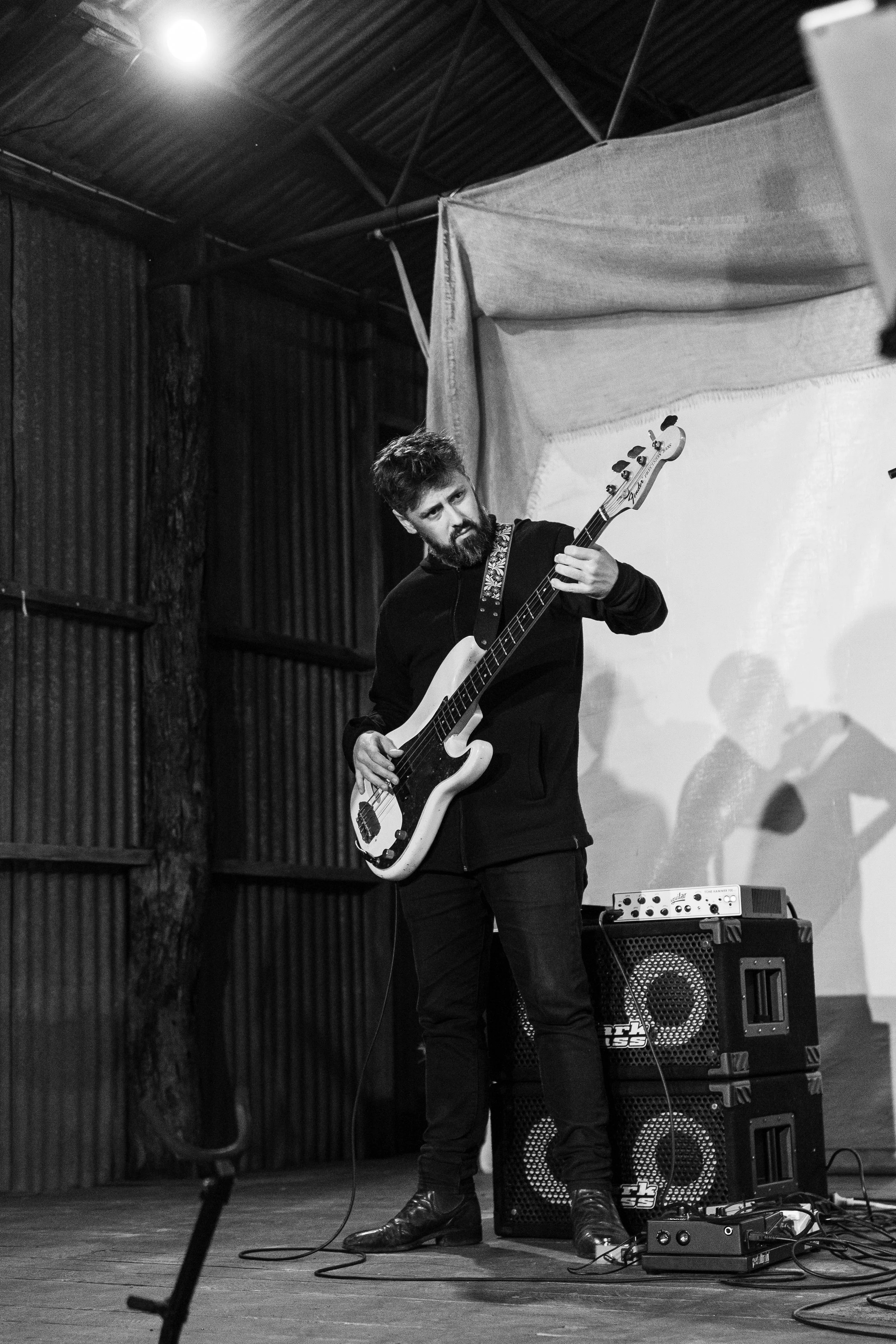 The Vampires - Spring Concerts