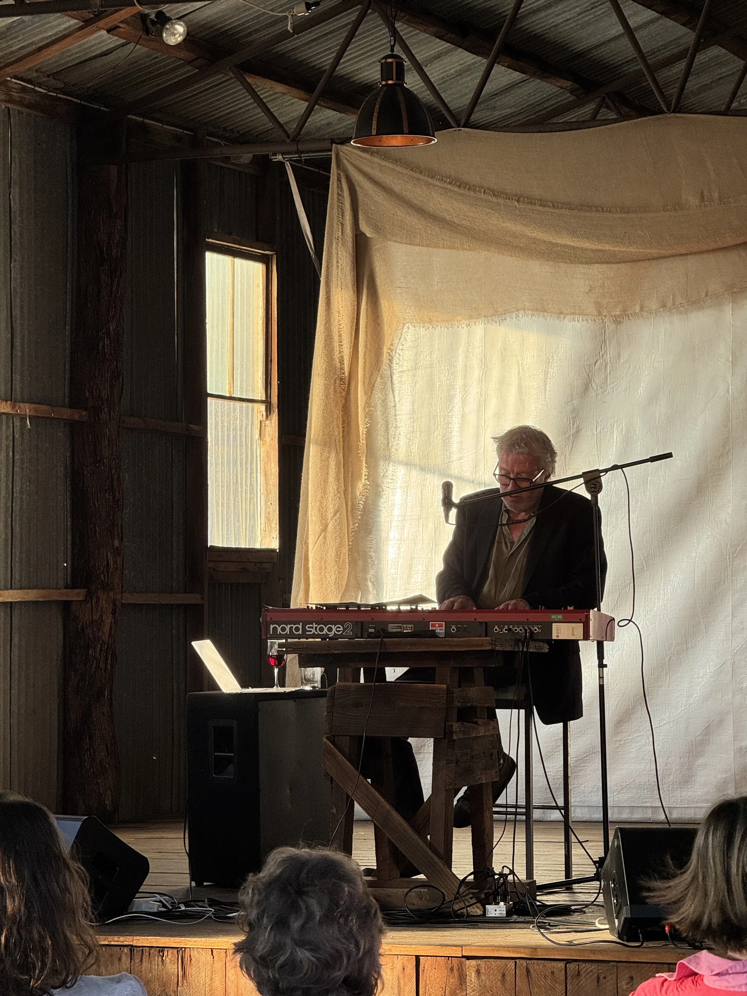 David Bridie - Spring Concerts