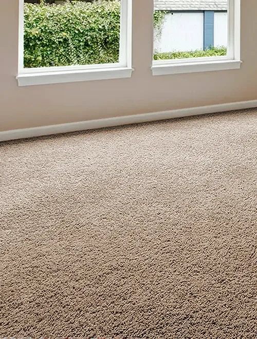 An empty room with beige carpet and two large windows showing a green bush and neighboring building outside.