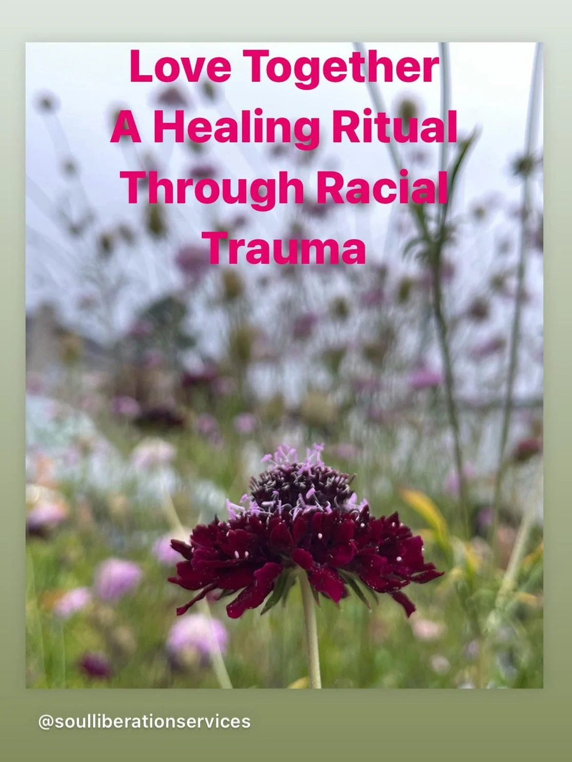 Poster for a racial‑trauma healing ritual and grief workshop co‑led by Priestess Ali Montgomery and Z Griss of Embody More Love on the Alameda beach, featuring a dark red flower among wildflowers with the text ‘Love Together: A Healing Ritual Through