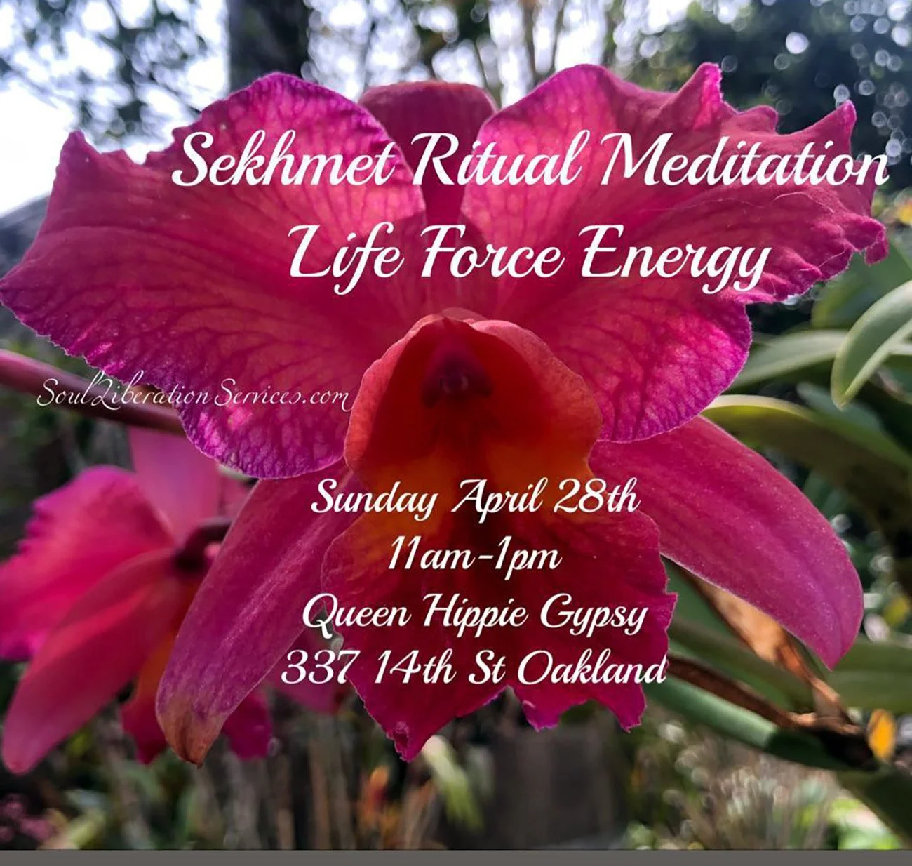 Flyer for a Sekhmet Ritual Meditation titled ‘Life Force Energy,’ featuring a close‑up orchid image with event details for a past gathering hosted at Queen Hippie Gypsy in Oakland, preserved as part of the Temple Memories archive.