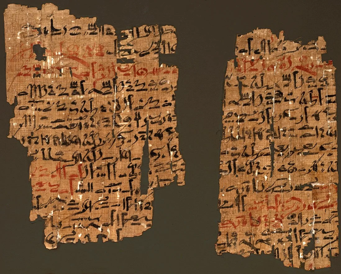 Fragment of the Edwin Smith Papyrus written in hieratic script, showing black and red ink instructions for pulse examination in ancient Egyptian medical practice.