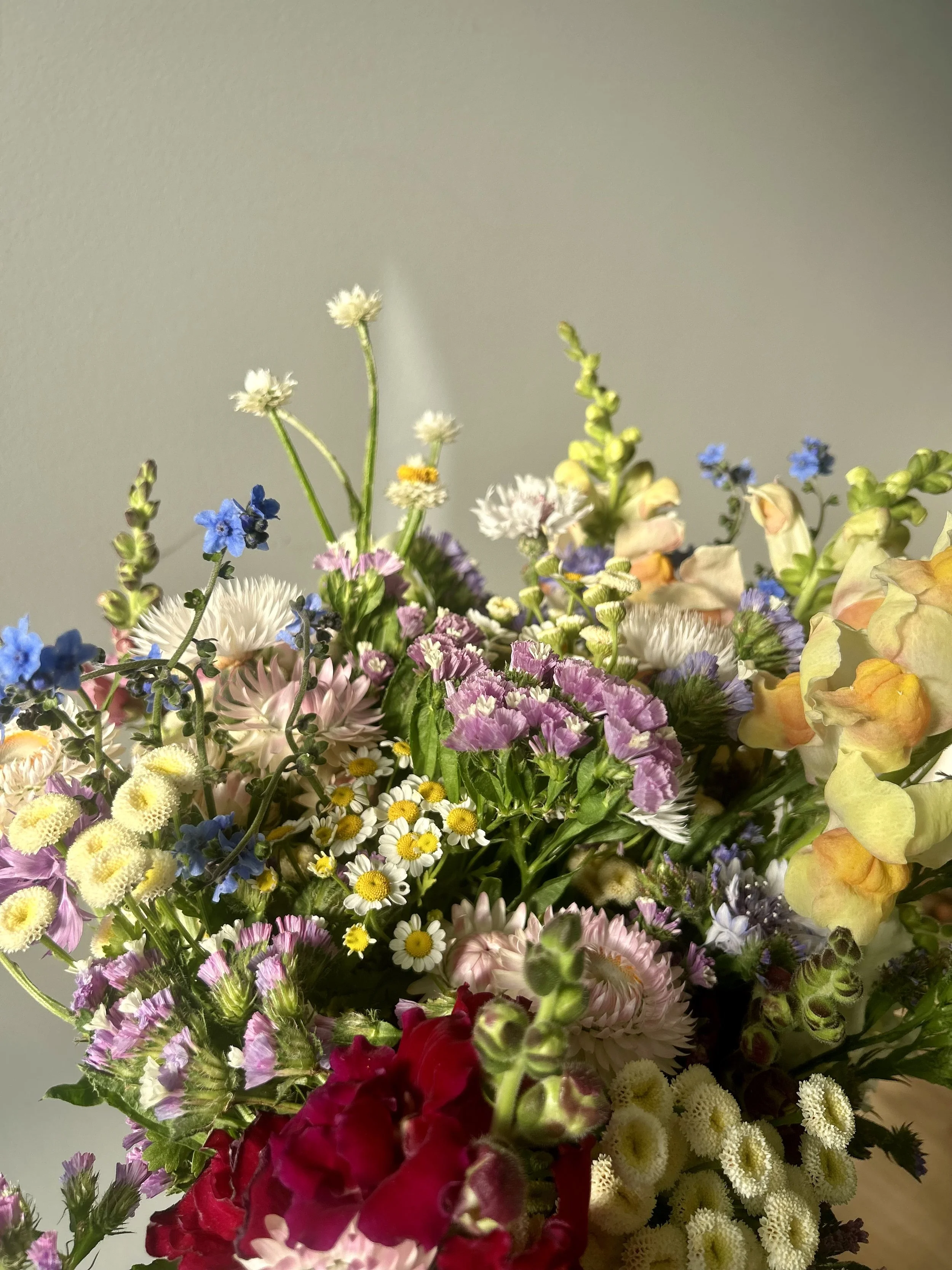 A vibrant bouquet of various colorful flowers including daisies, snapdragons, forget-me-nots, chamomile, and other wildflowers against a plain background.