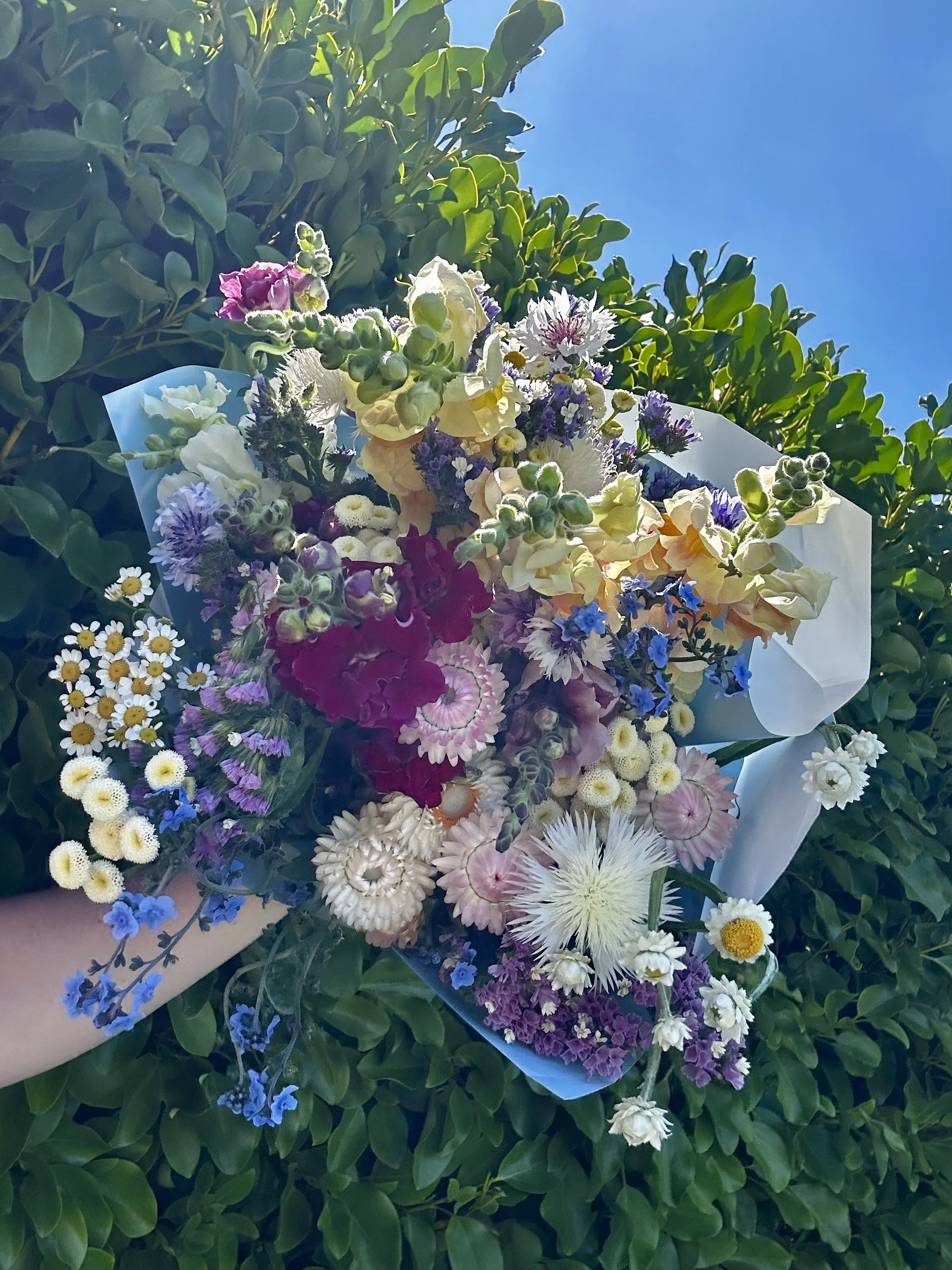 A colorful bouquet of various flowers including daisies, chrysanthemums, and other blooms, wrapped in white paper, held in front of green bushes and a blue sky.