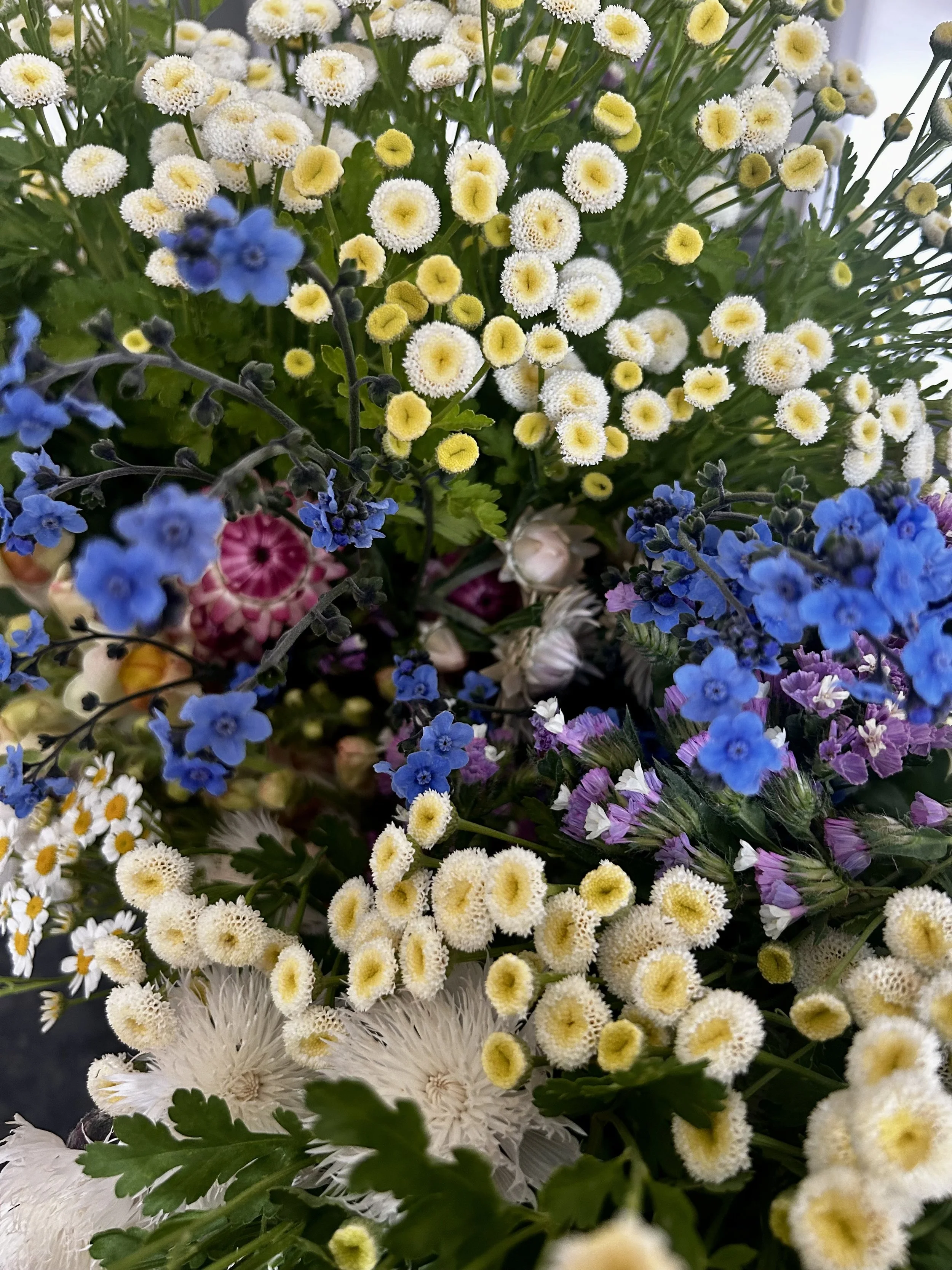 A close-up of a colorful bouquet of various flowers, including white, yellow, blue, purple, and pink blossoms.