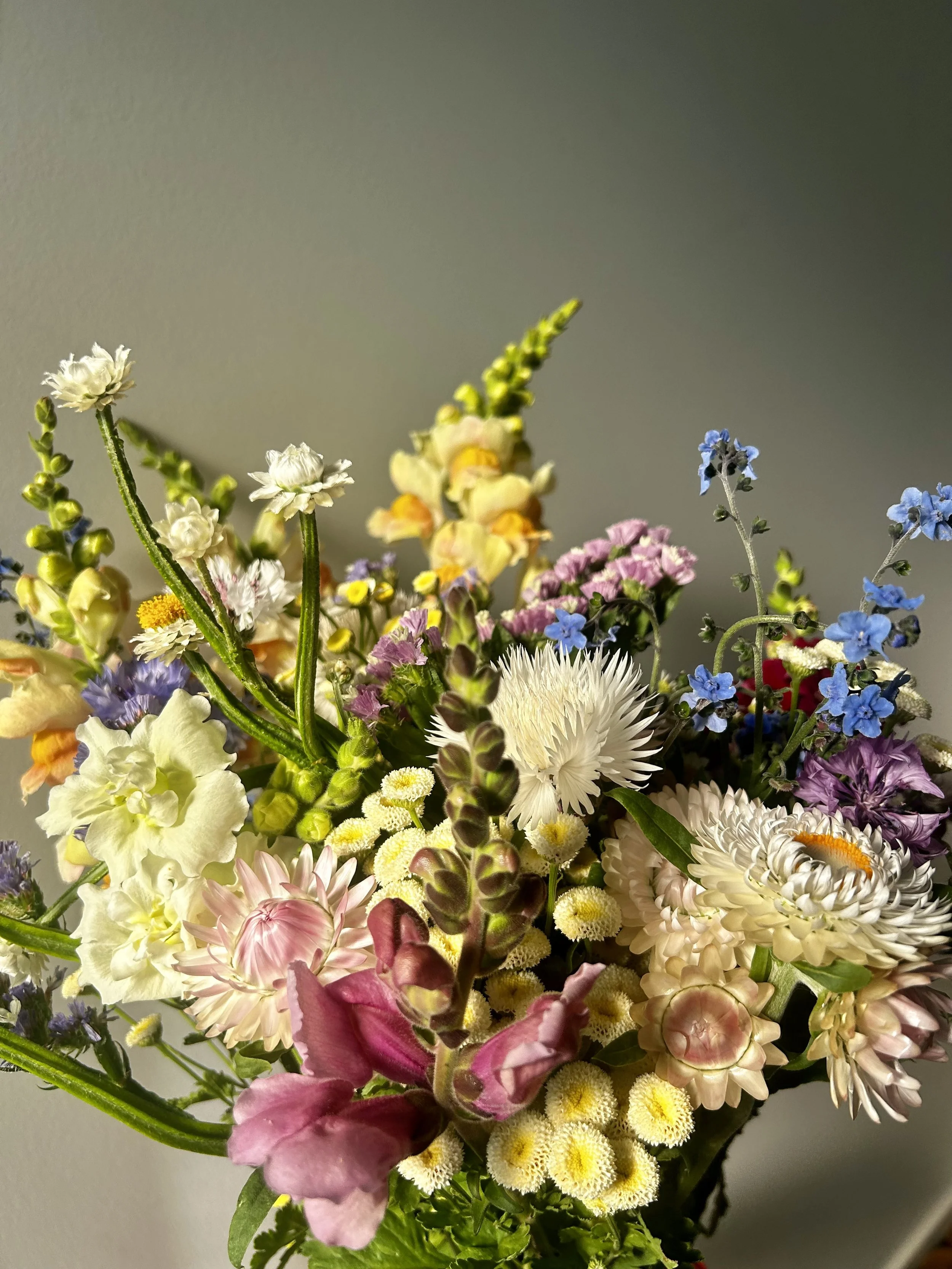 Colorful bouquet of various flowers including pink, white, purple, blue, and yellow blooms against a neutral background.