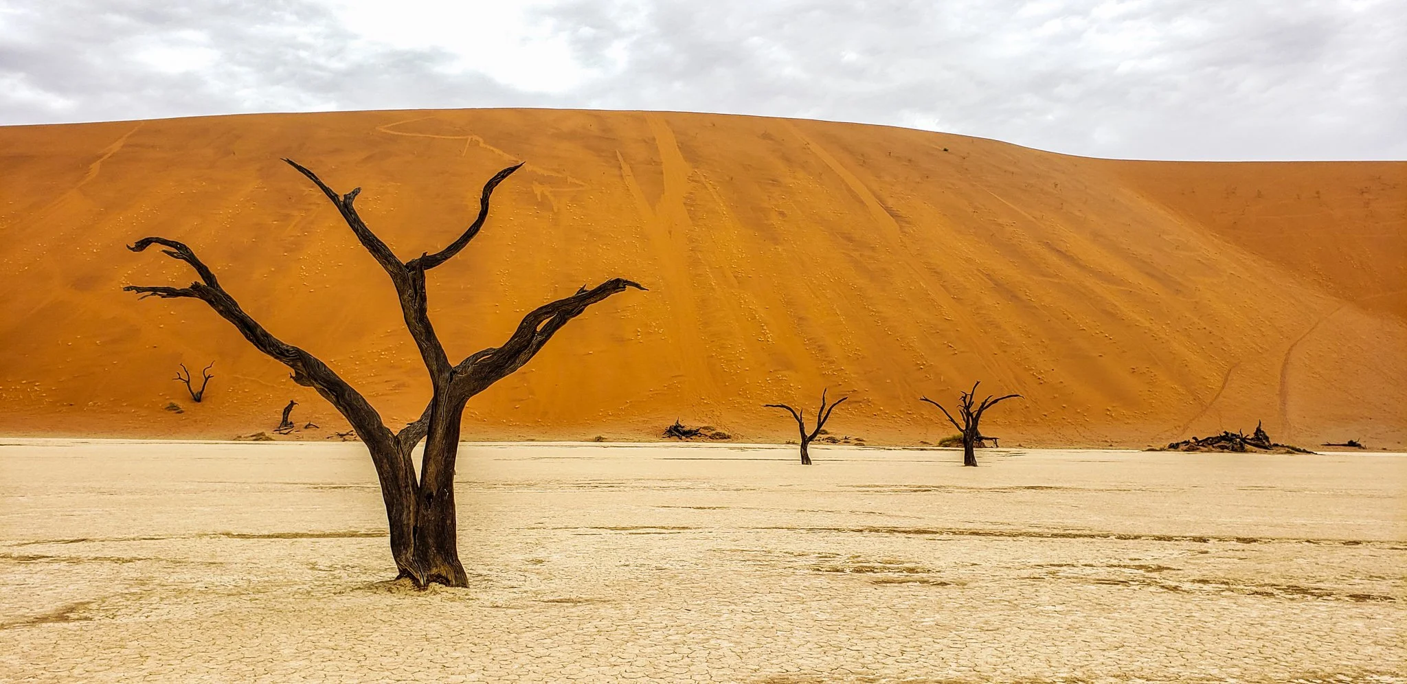 20221119_085007 - Modified FB.jpg