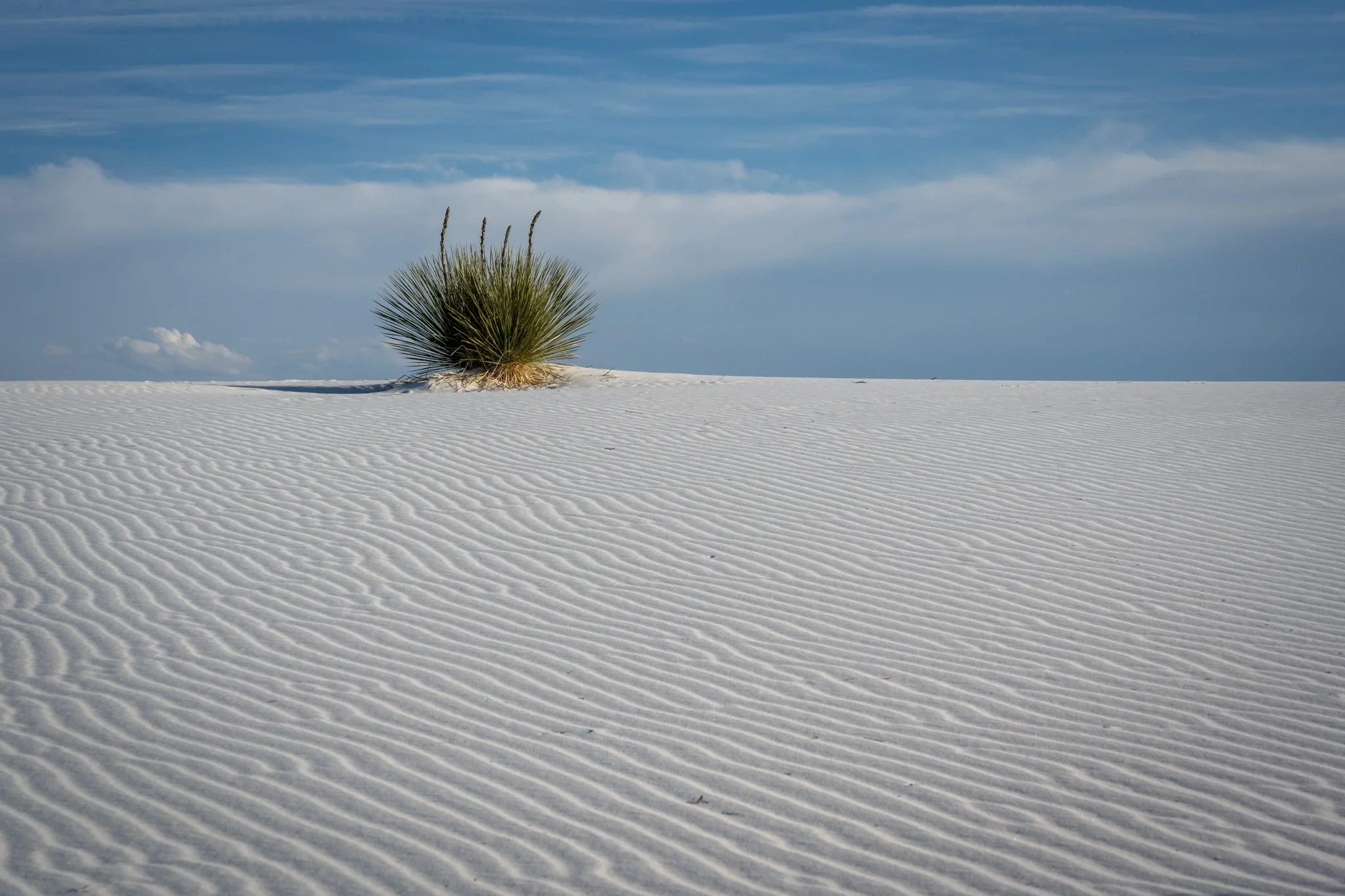 DSC_4249 - Modified FB.jpg