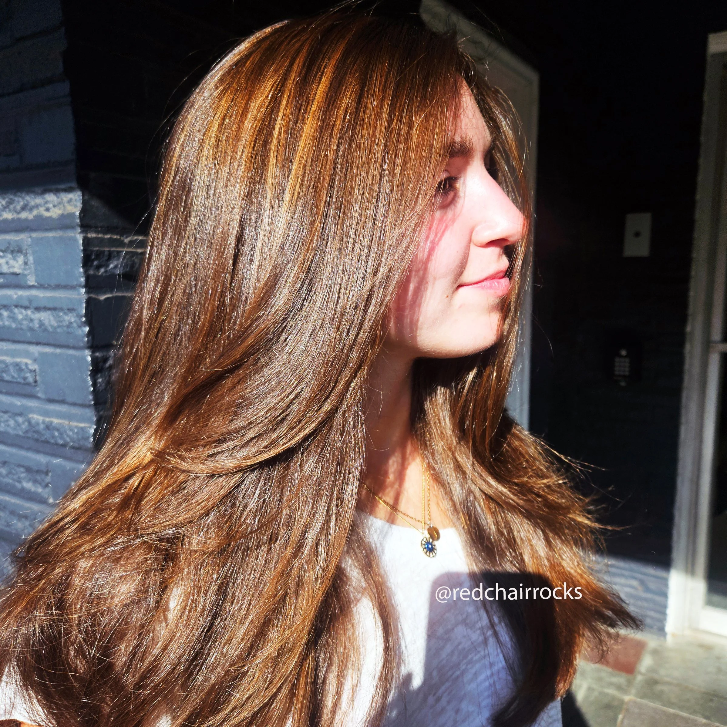 13 Chestnut Balayage at Red Chair Salon.jpg