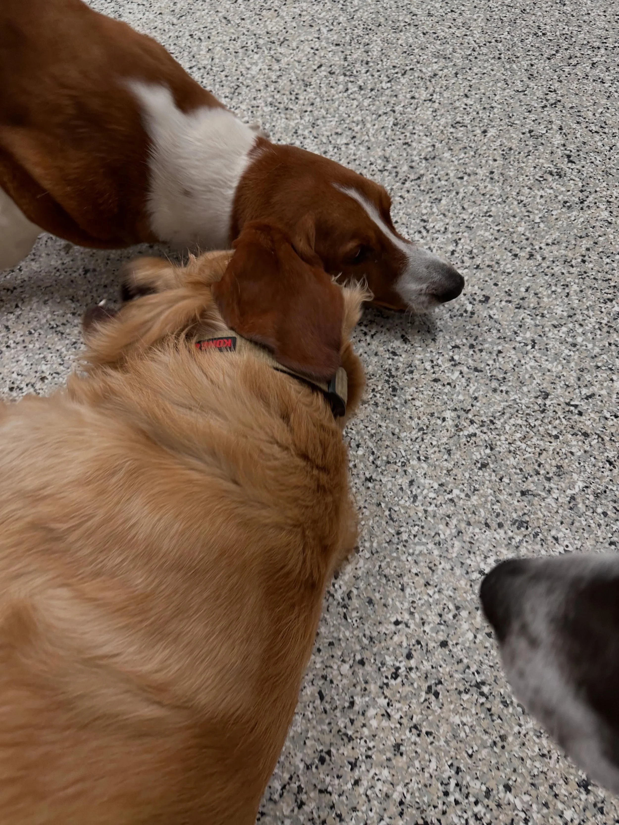 Otis lent Teddy an ear