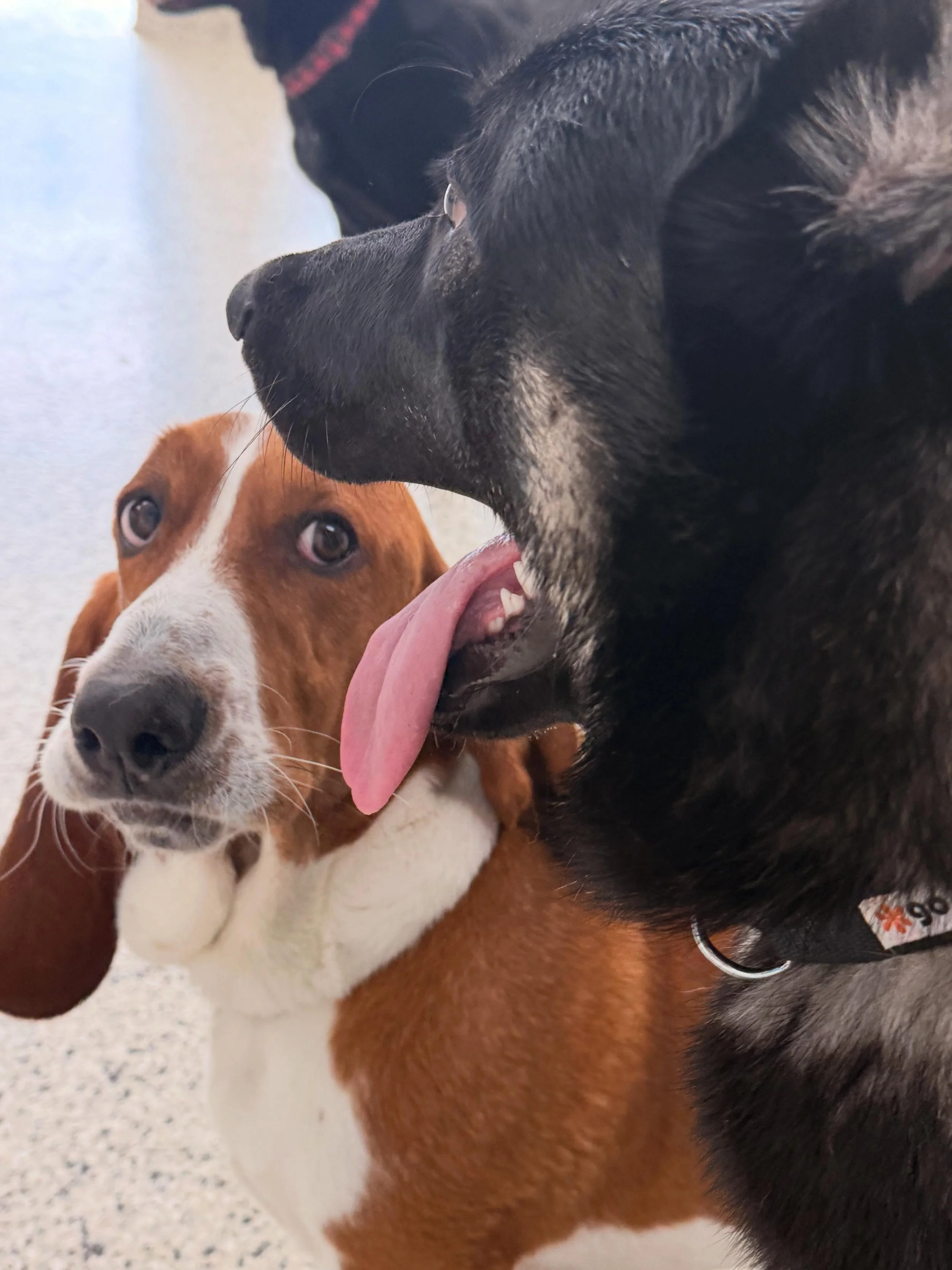 Otis, how do you really feel?