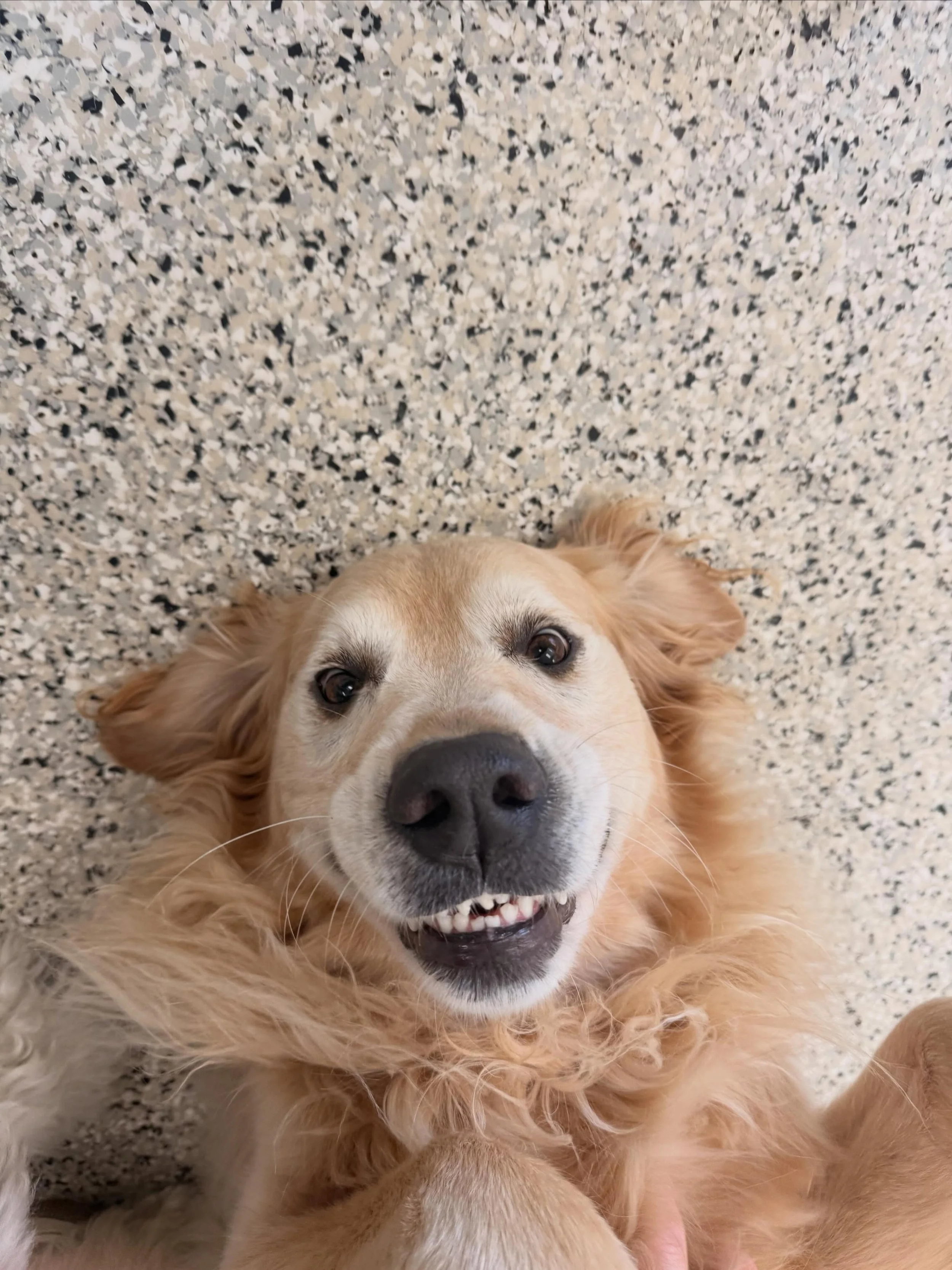 Cheesin&rsquo; 🧀