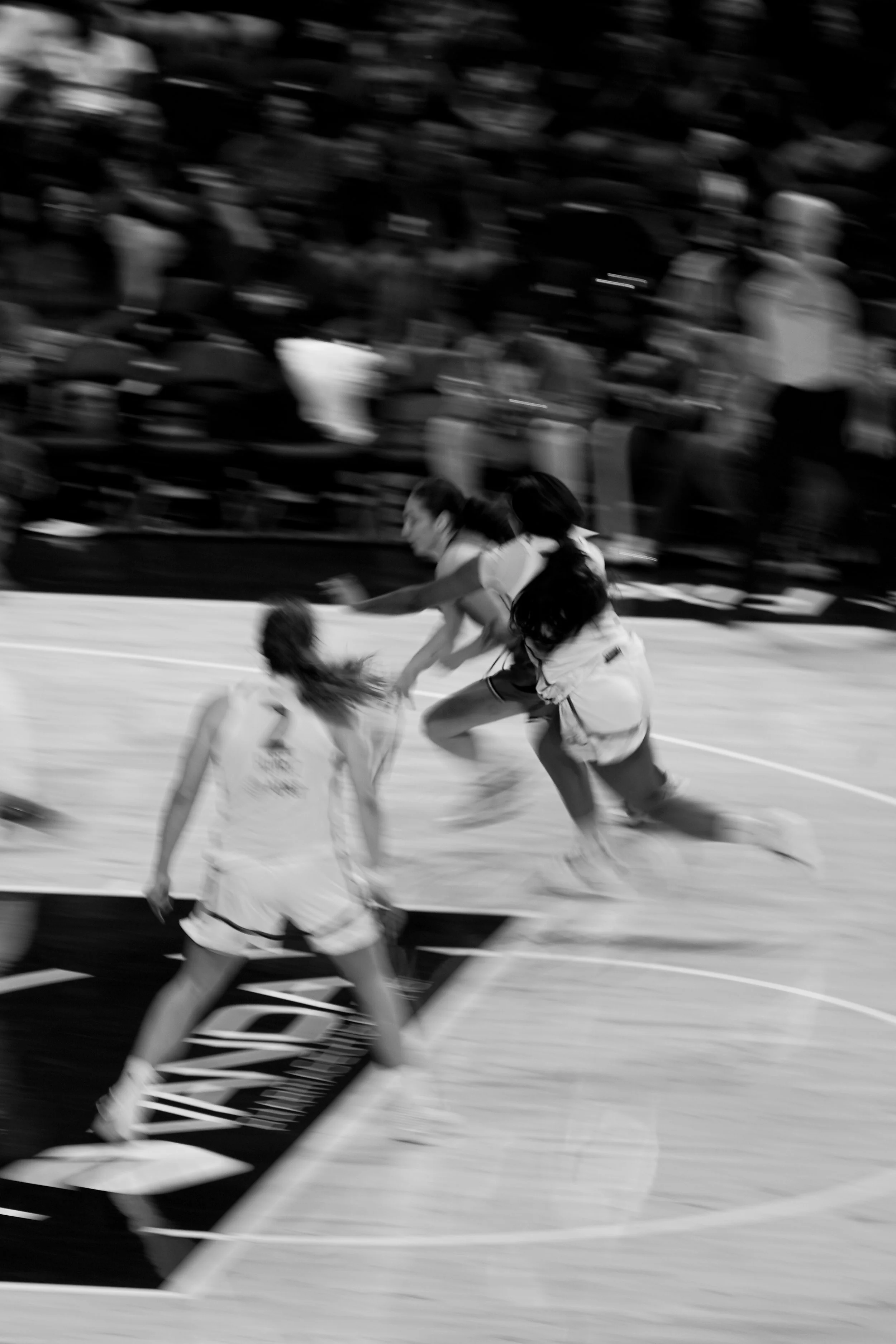 DSC06102-2.jpg