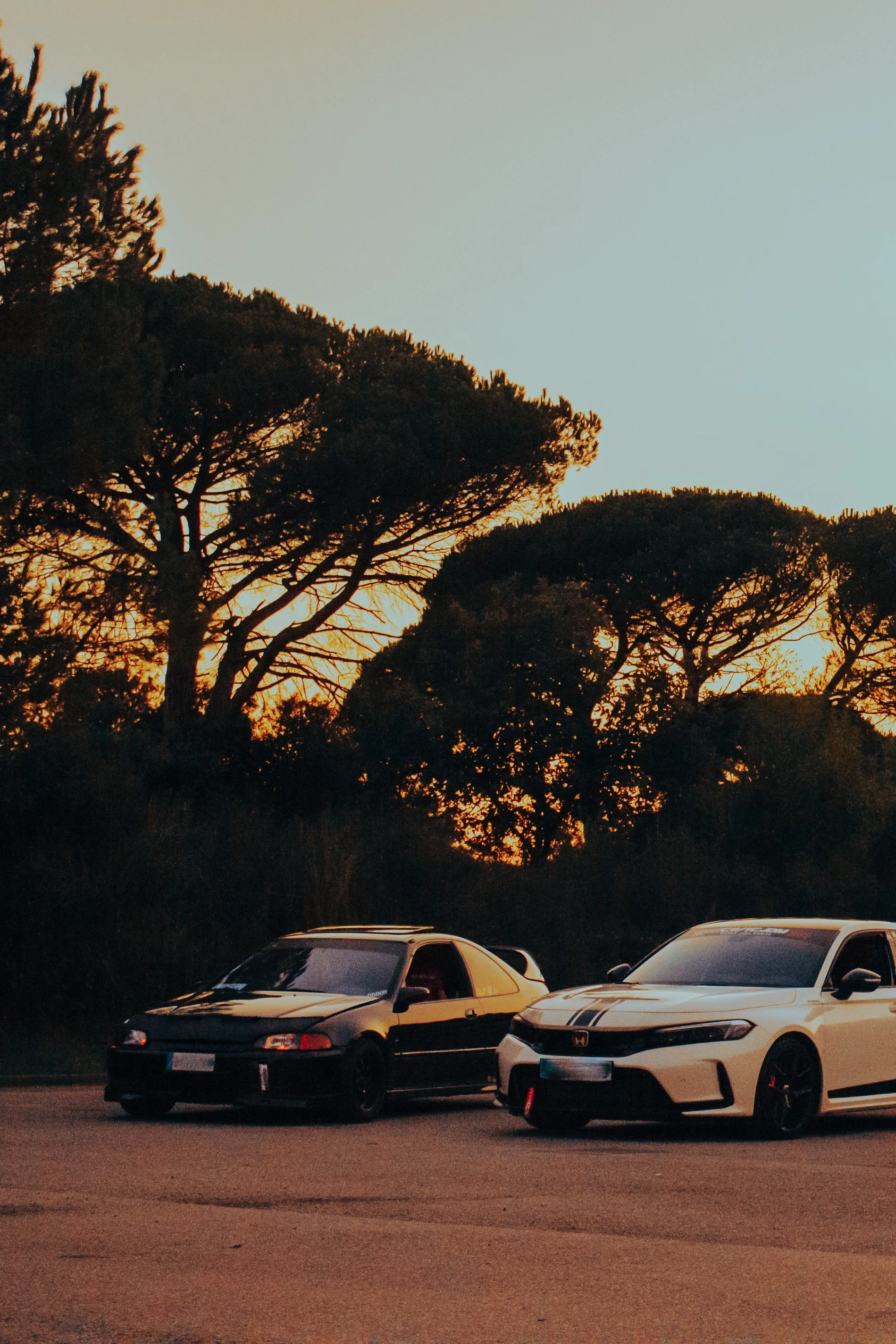 Dos autos deportivos estacionados en un lugar abierto con árboles grandes y un atardecer en el fondo.