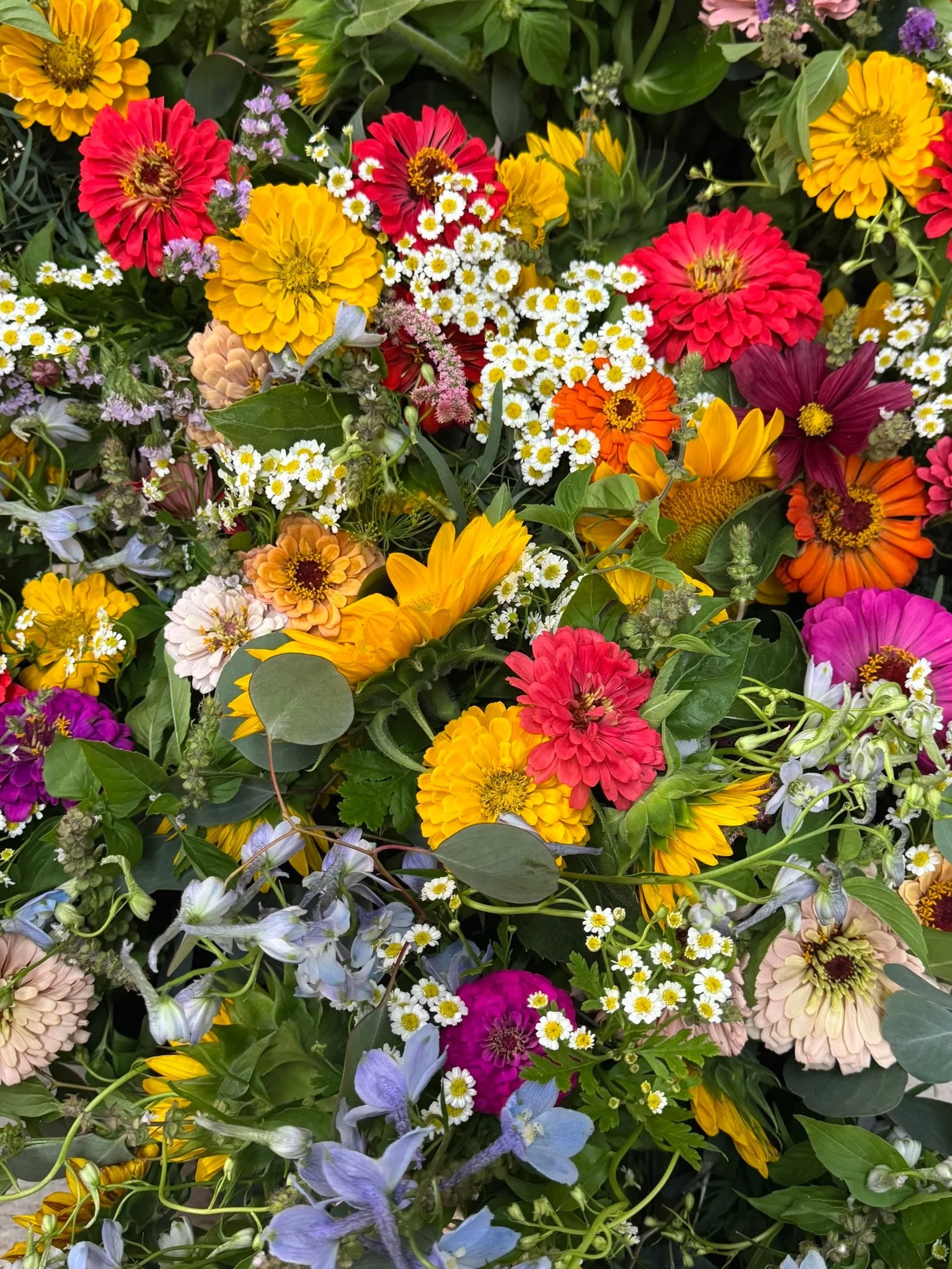 Bi-Weekly Full Season Flower Subscription-10 Premium Bouquets