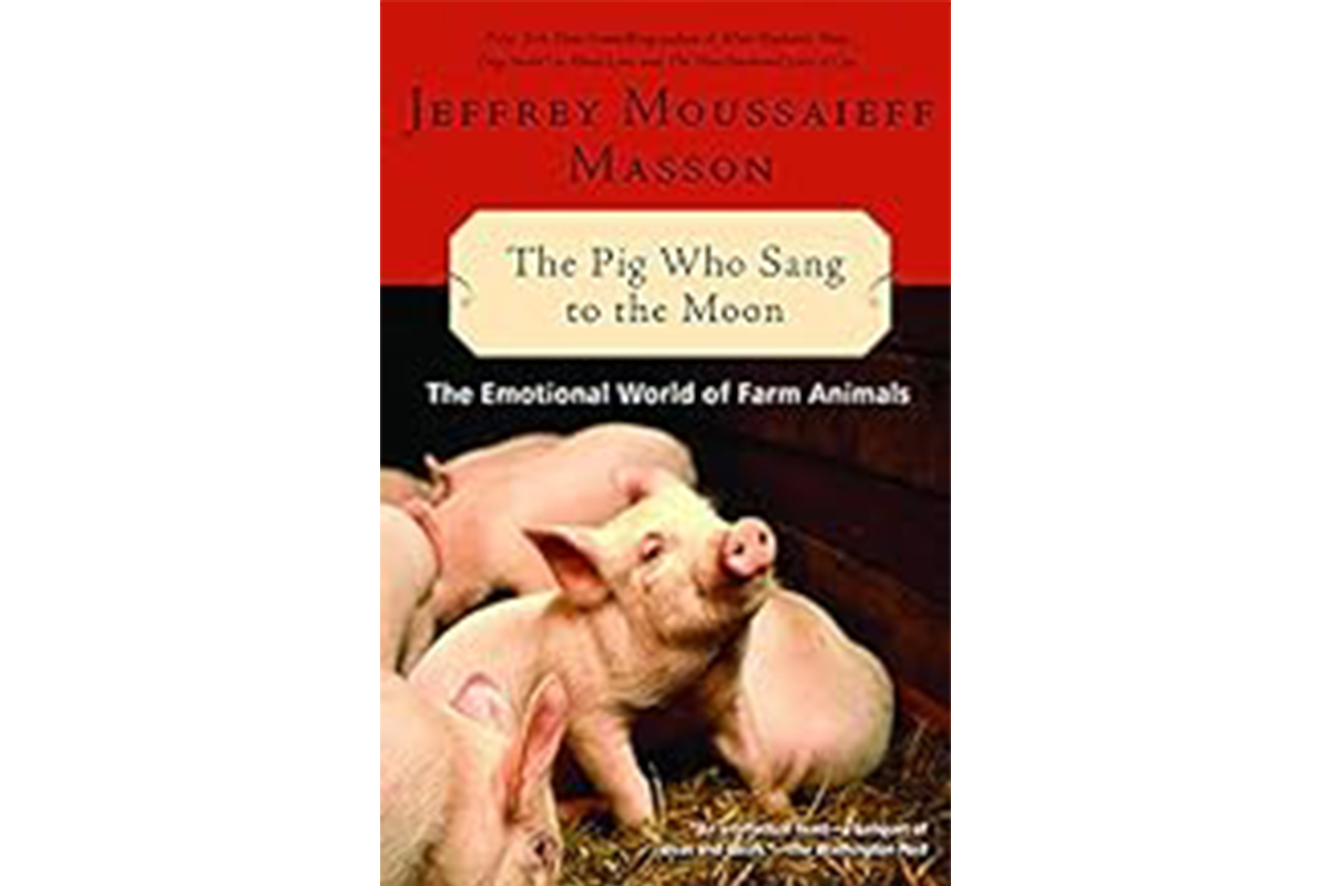Small Group Book Club - August