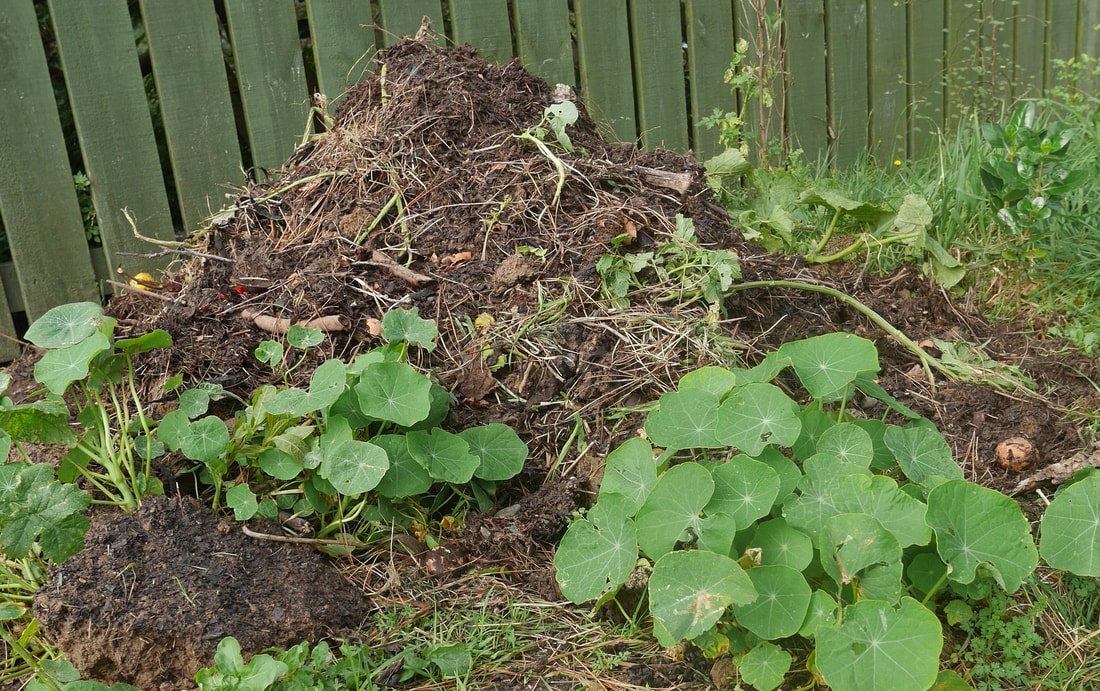 Compost heap to help soil