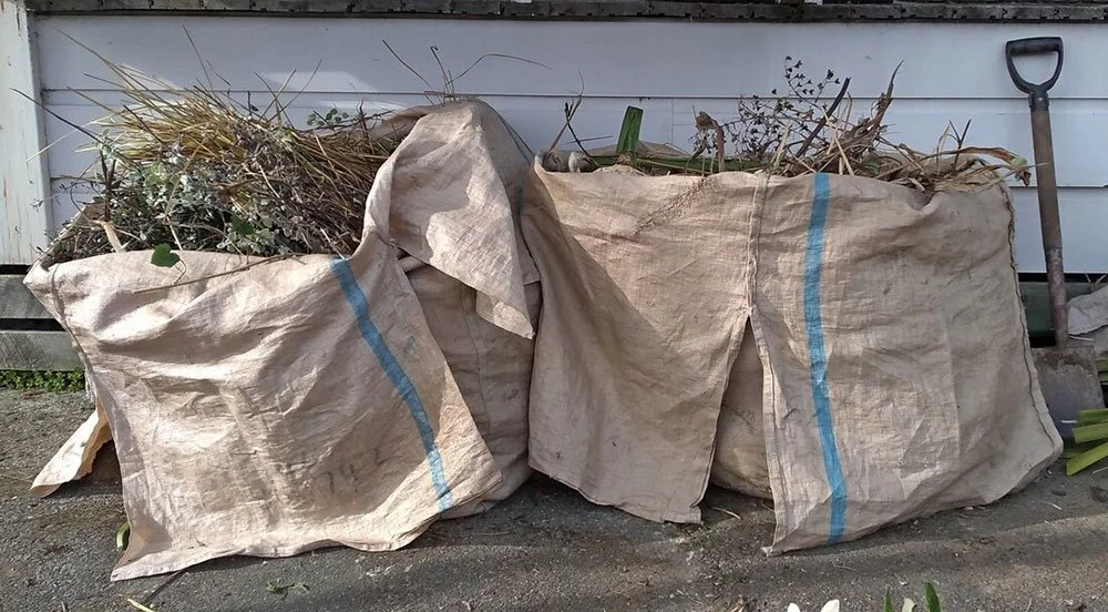 Weeds - dispose or use? Reusing weeds to improve soil health