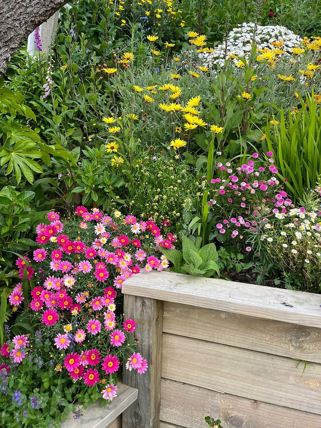 Maintaining garden beds in wellington