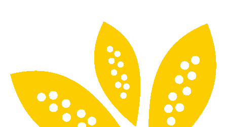 WIld About Weeds garden taming