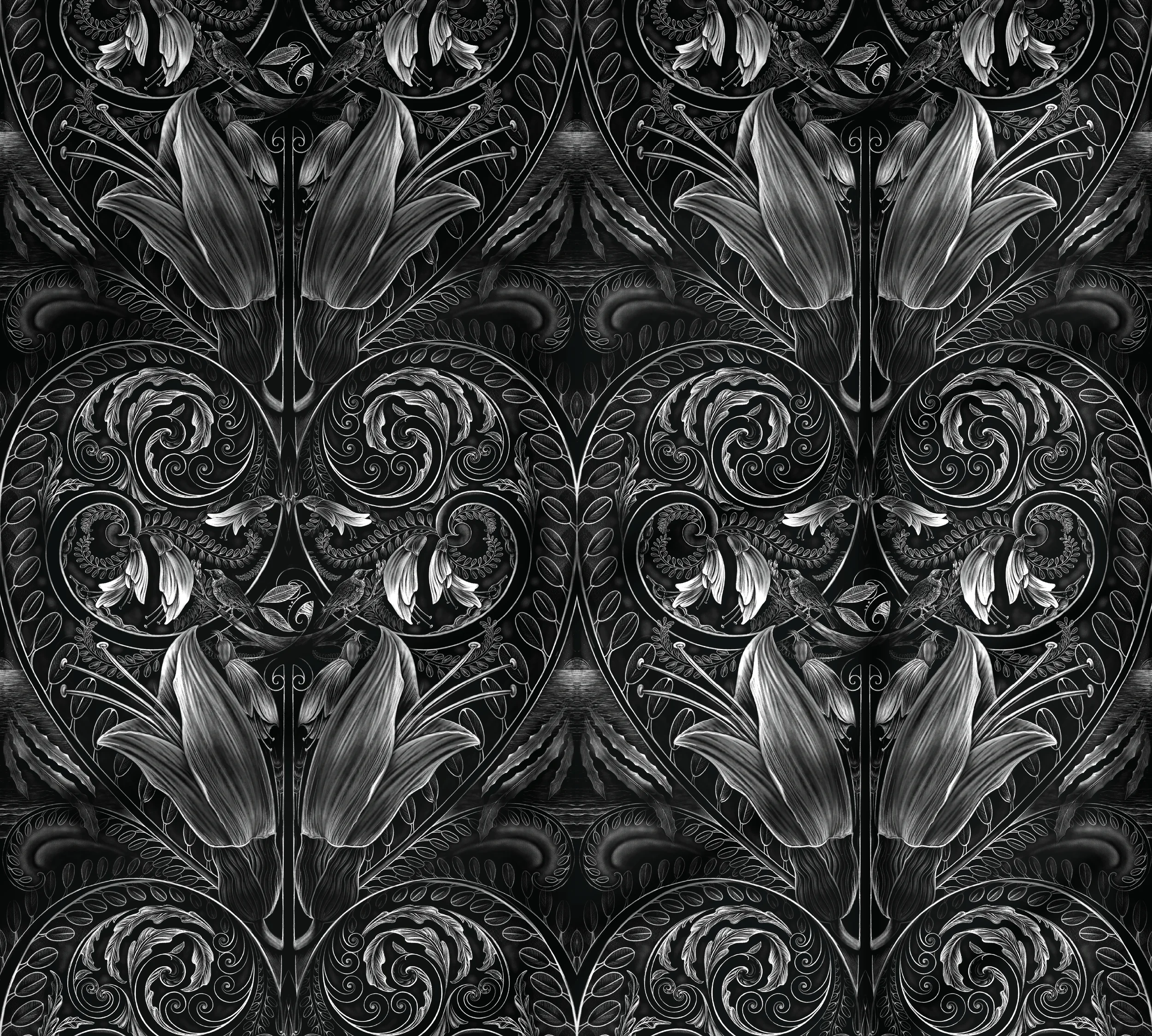 Kōwhai 1 Black.webp