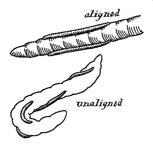 Square Worms - Fact or Fiction?
