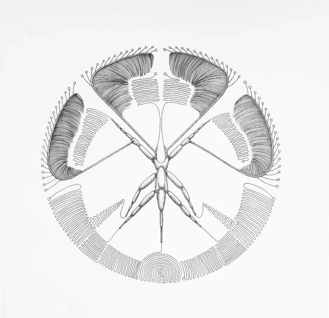 Filament creature 30pct.JPG