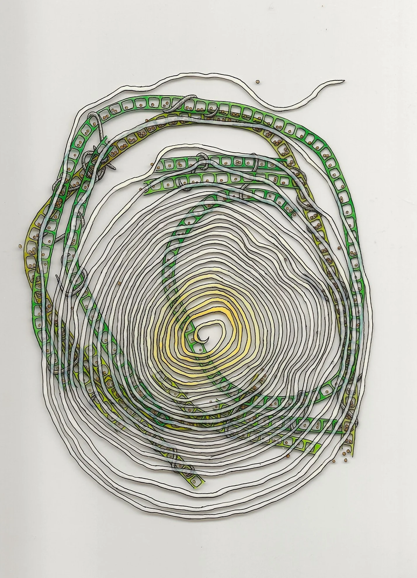 New Acetate 1-2-3.jpeg