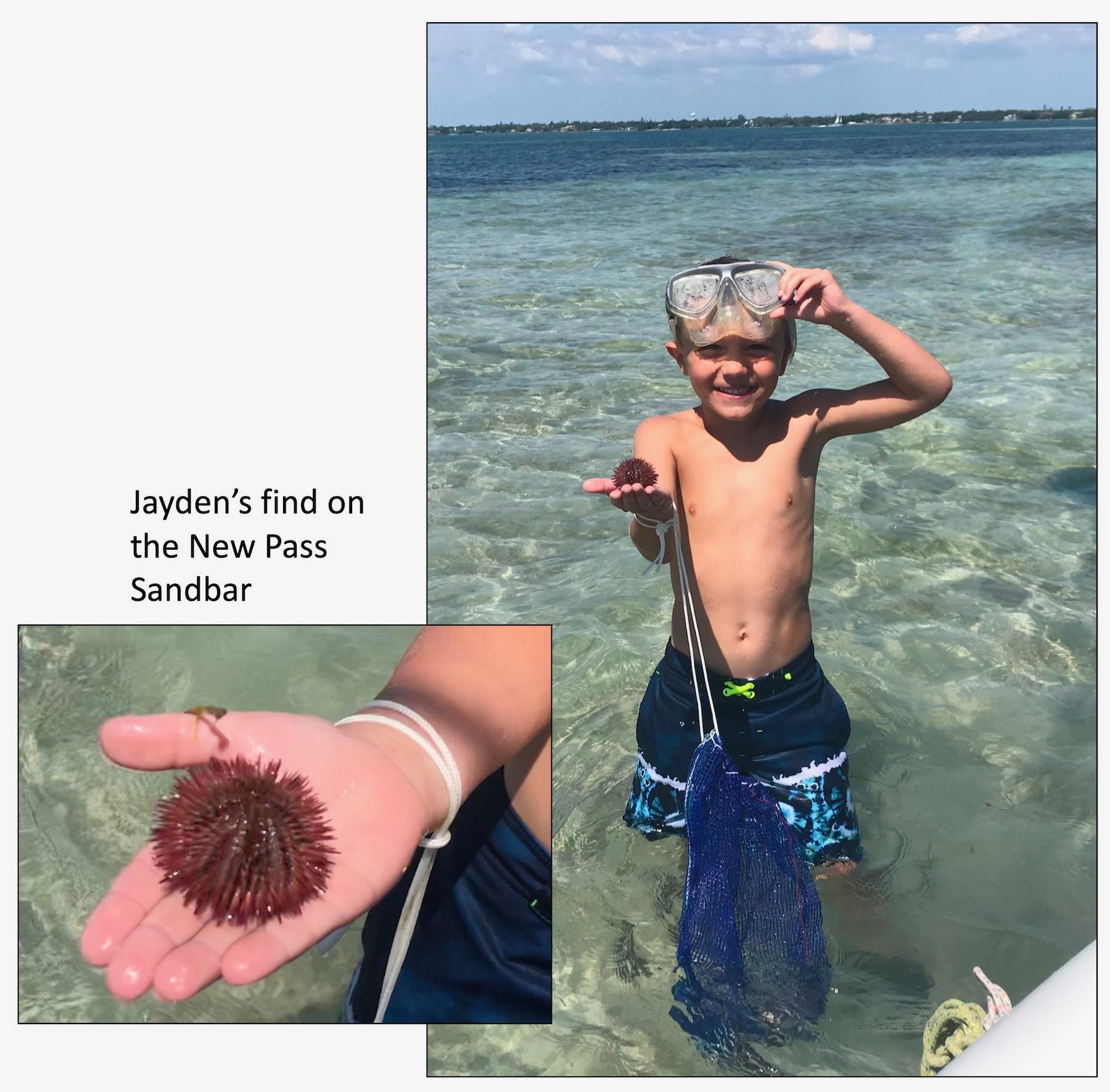 Jayden found a sea urchin on a sandbar. We always return them if they are alive and kicking.