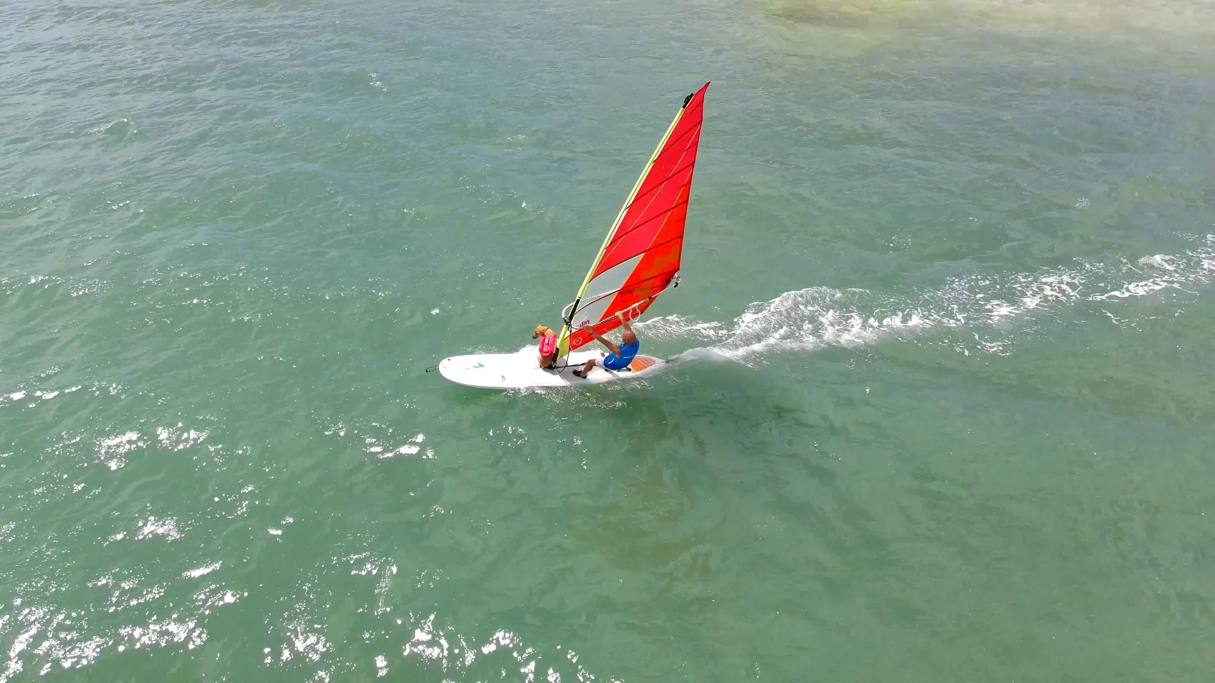 Windsurfing with Gal