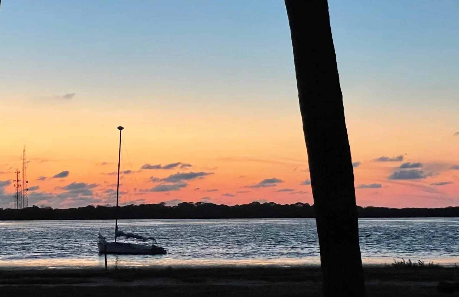 A sailboat on calm waters at sunset with a sunset sky in shades of pink, orange, and blue, and a silhouette of a tree in the foreground.