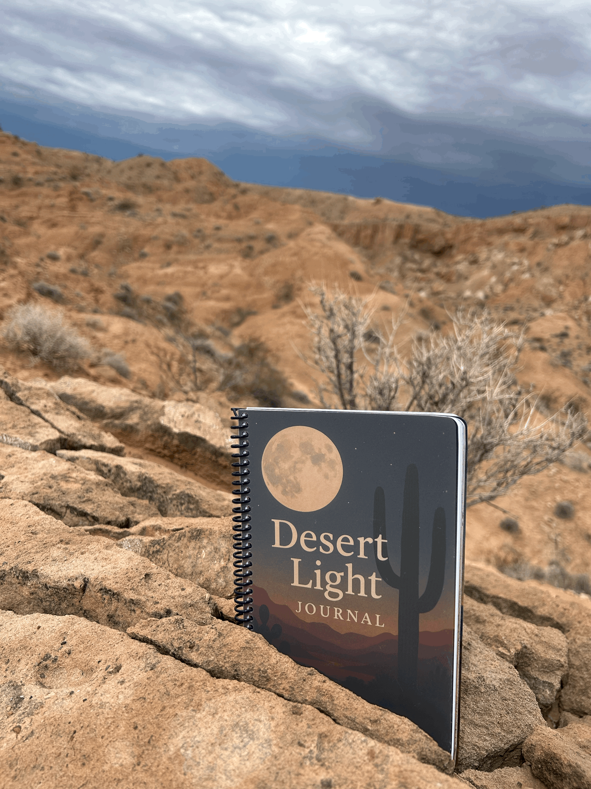 Desert Light Journal (Digital)