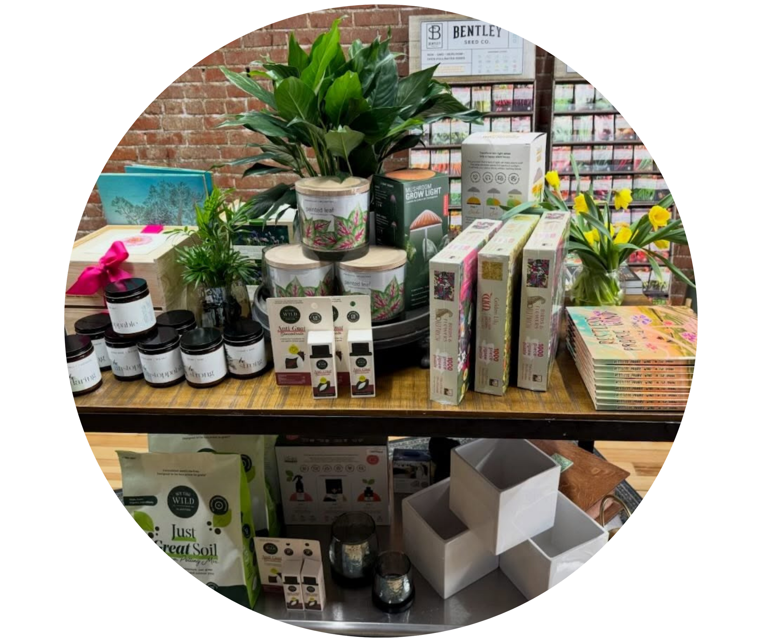 Display of plant and gardening products on table at a store, including books, seed packets, soil, and containers, with a brick wall in the background.