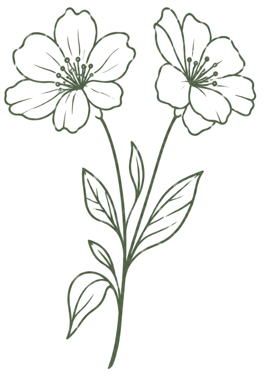 Line drawing of a flowering plant with two blossoms, five petals each, and elongated leaves on a black background.